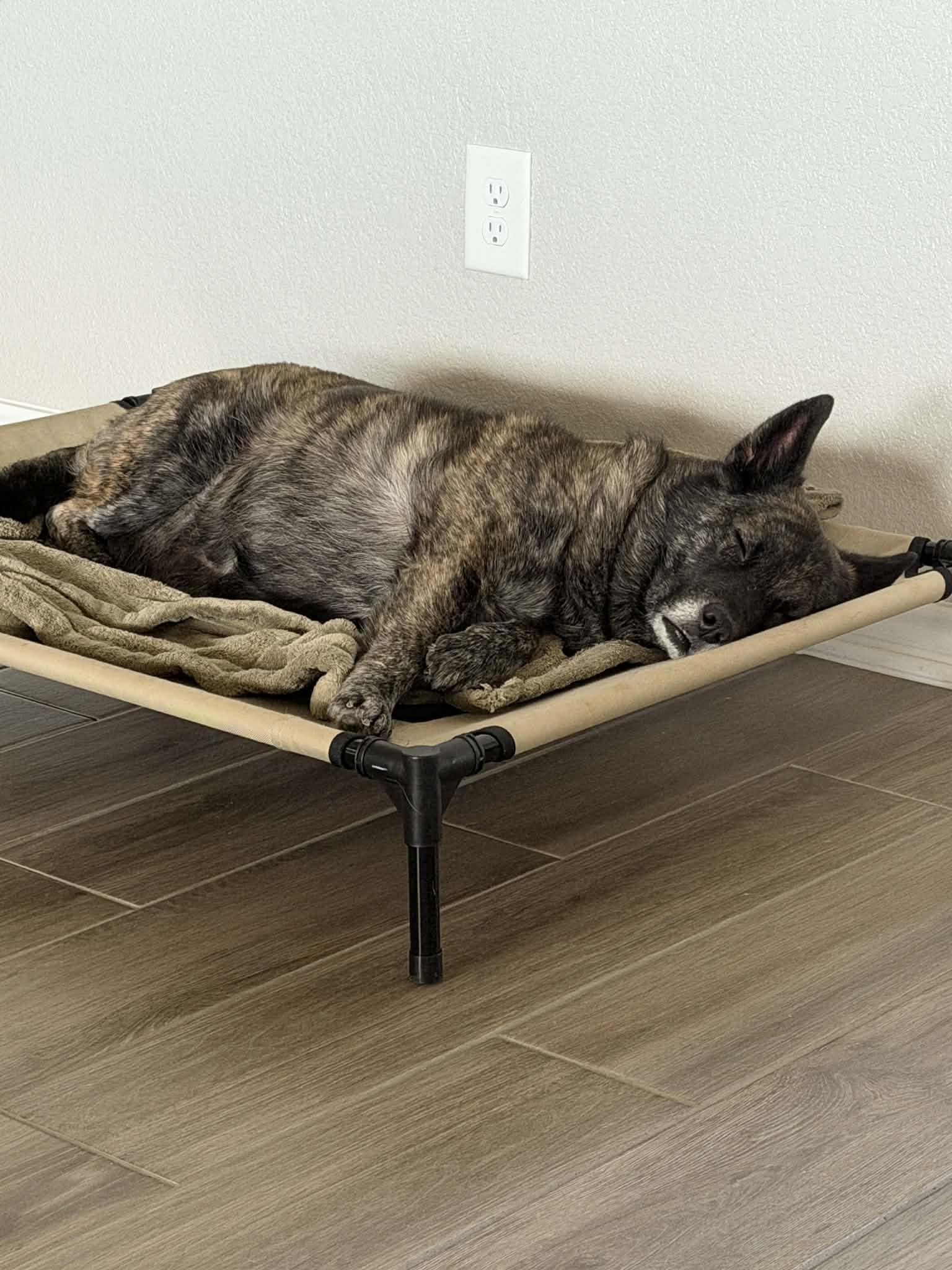 Bebe — thumbnail 2