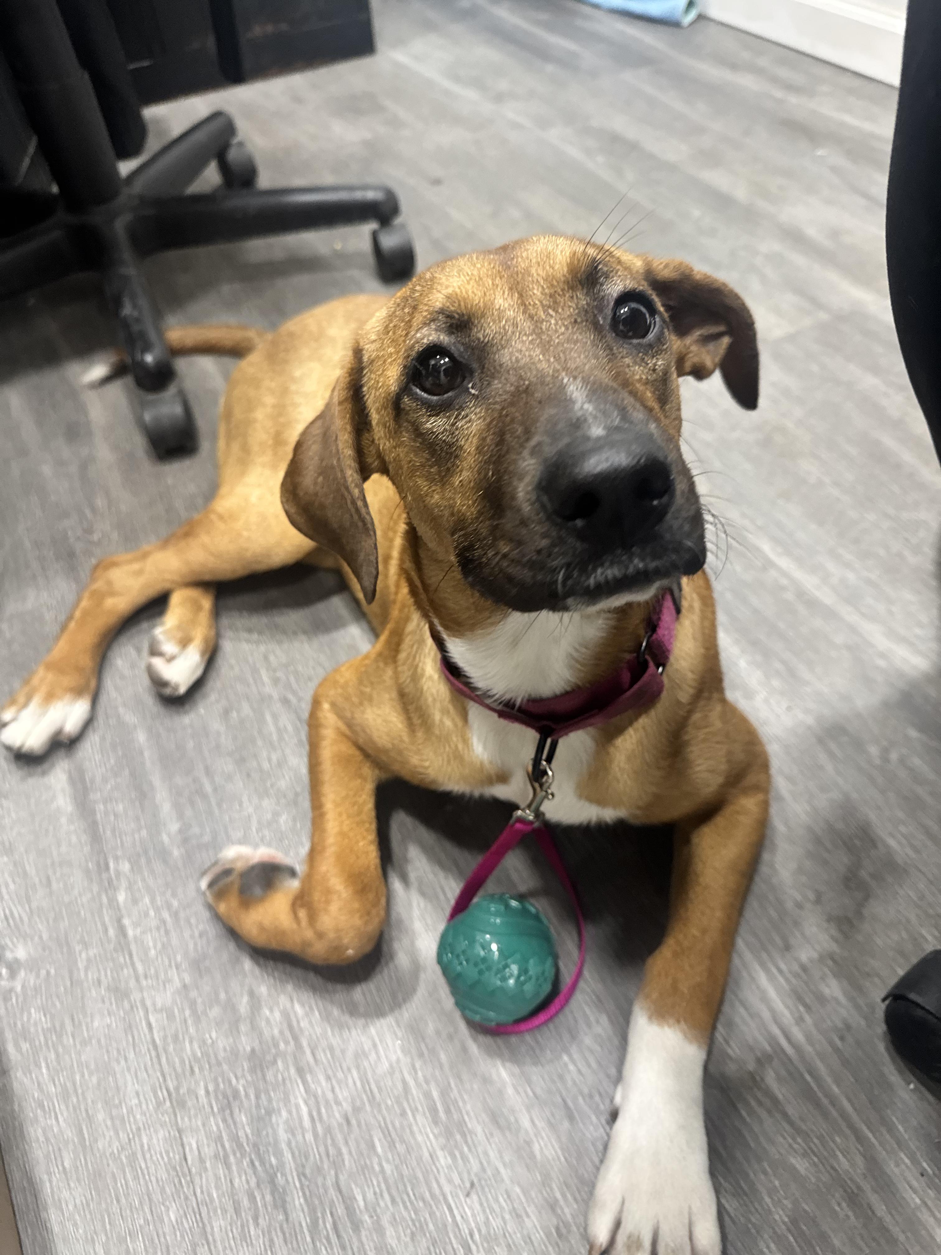 Maggie — thumbnail 4