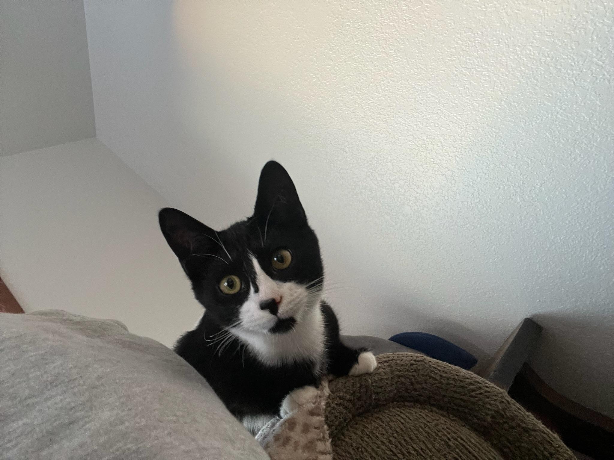 Theodore 