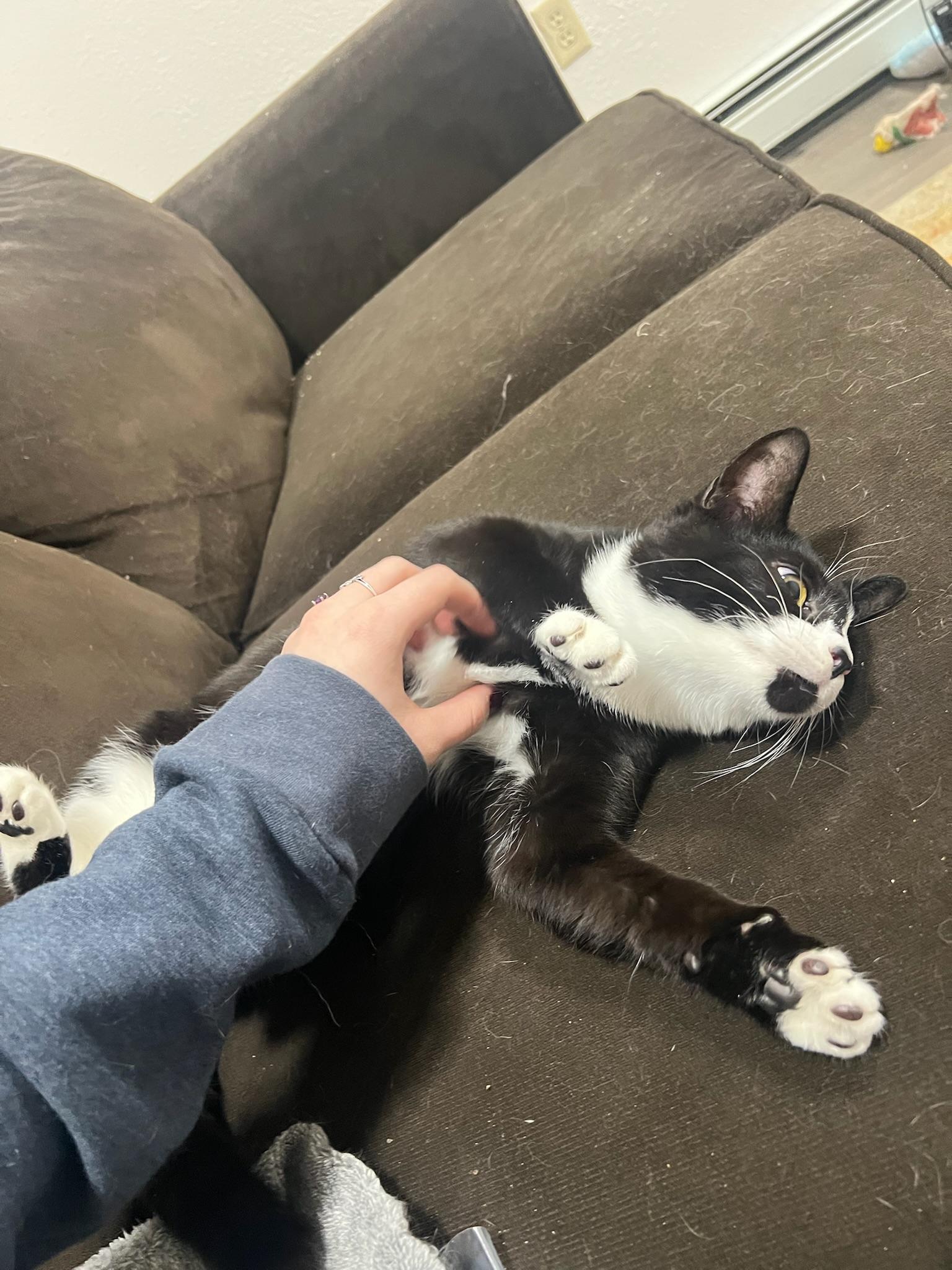 Theodore 