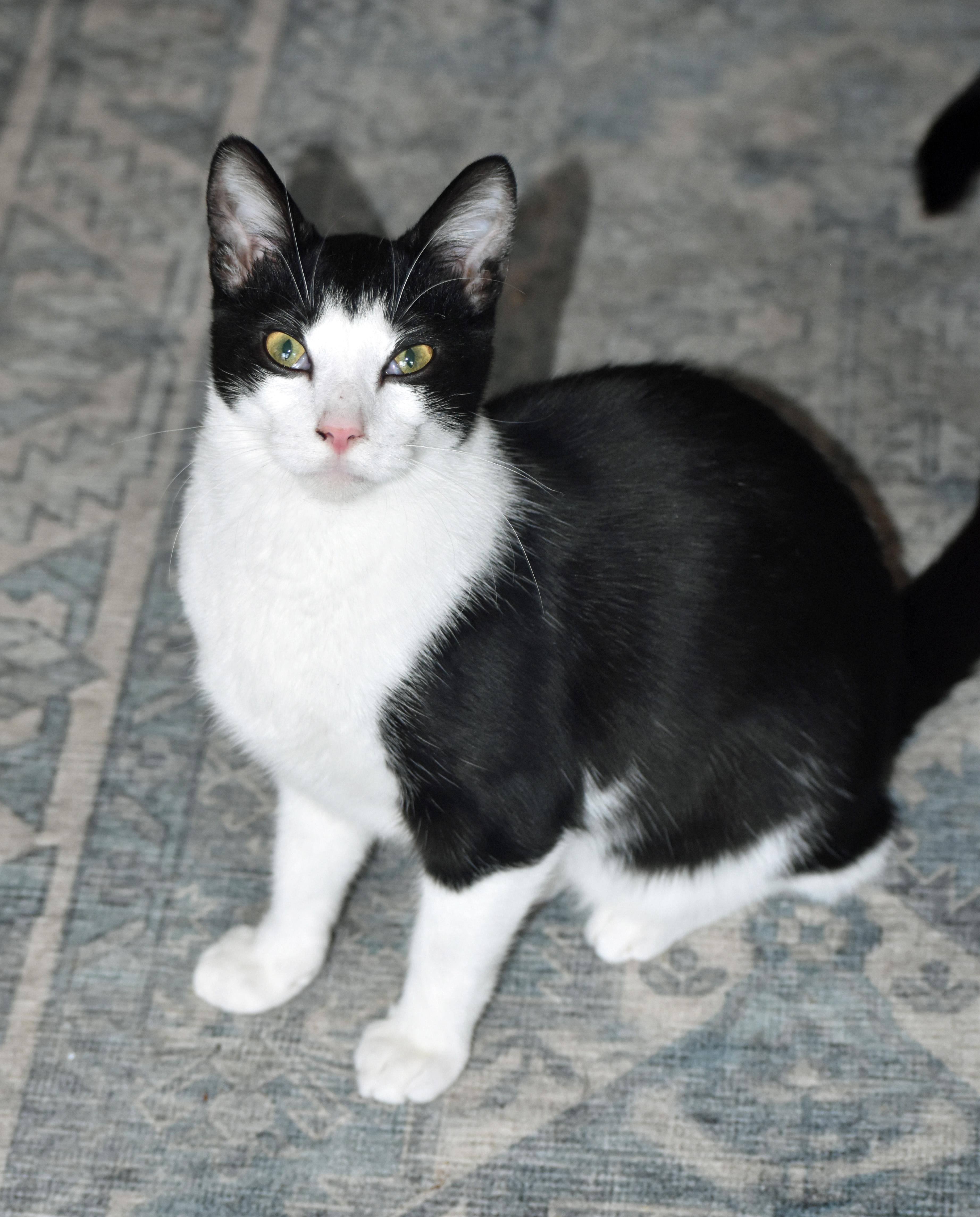 Klondike