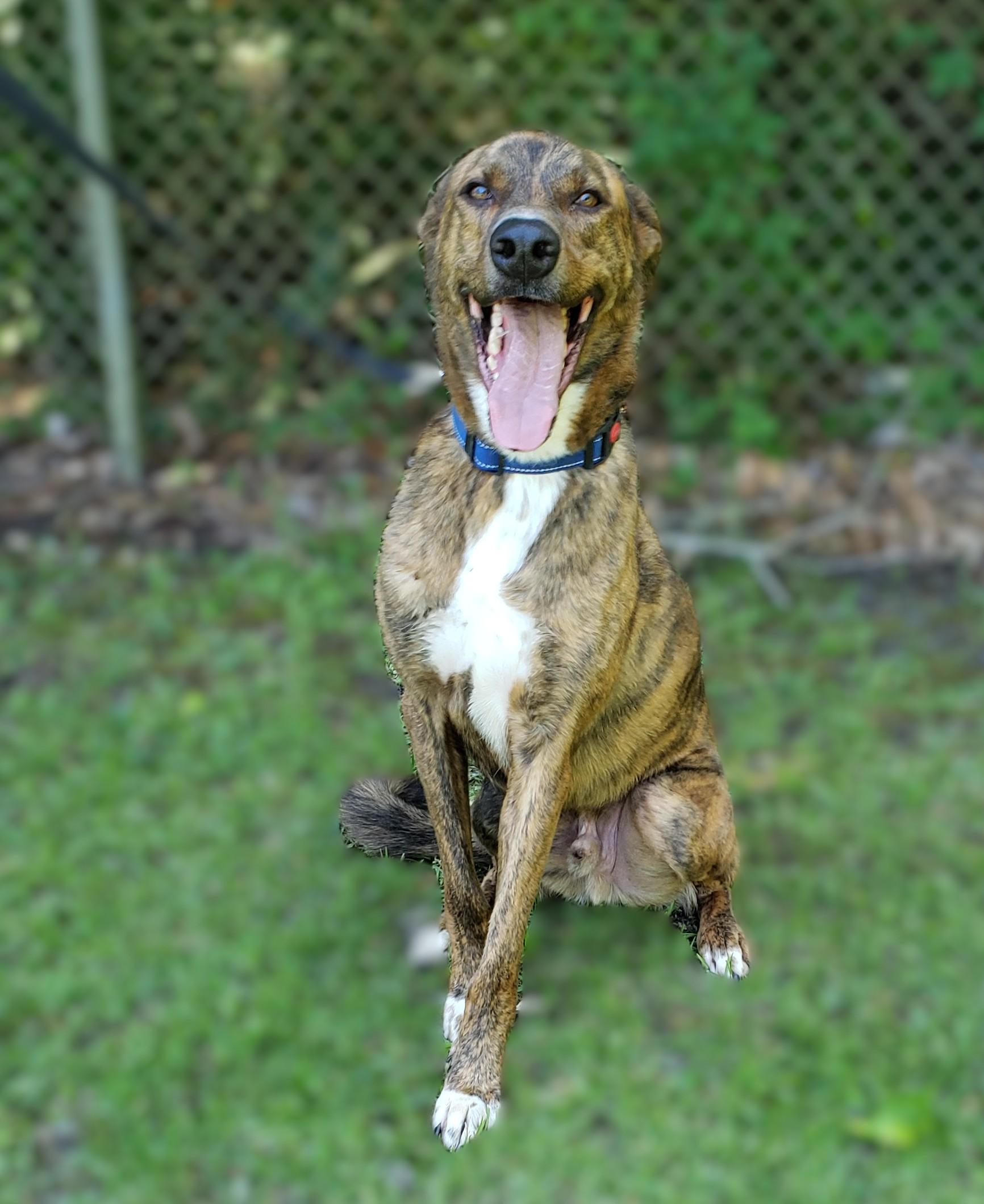 Tyson