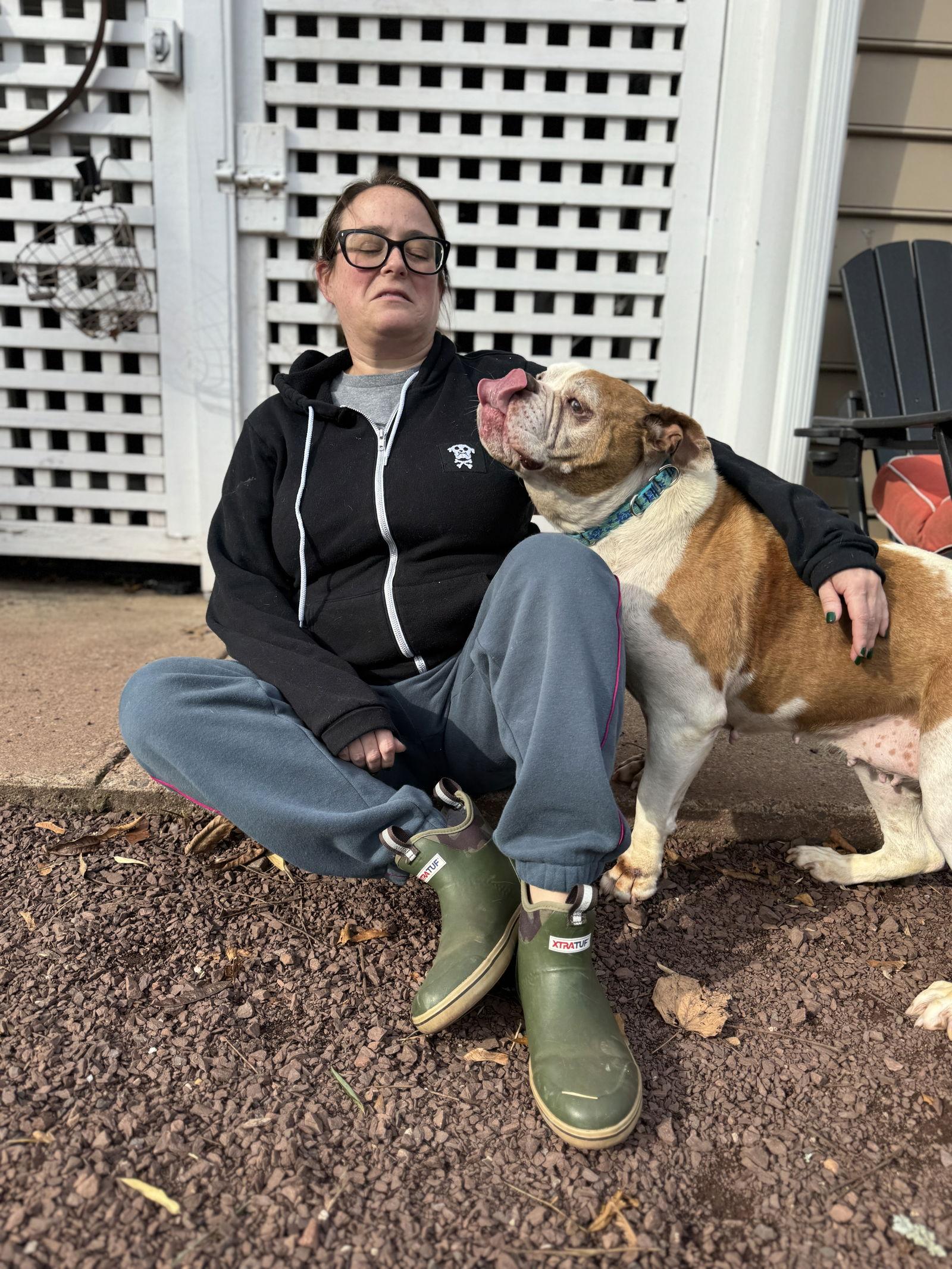 Babette, Adoptable, Adult Female American Bulldog.