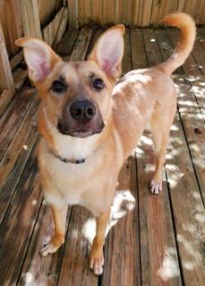 Kaia (fka Eleanor) — thumbnail 2