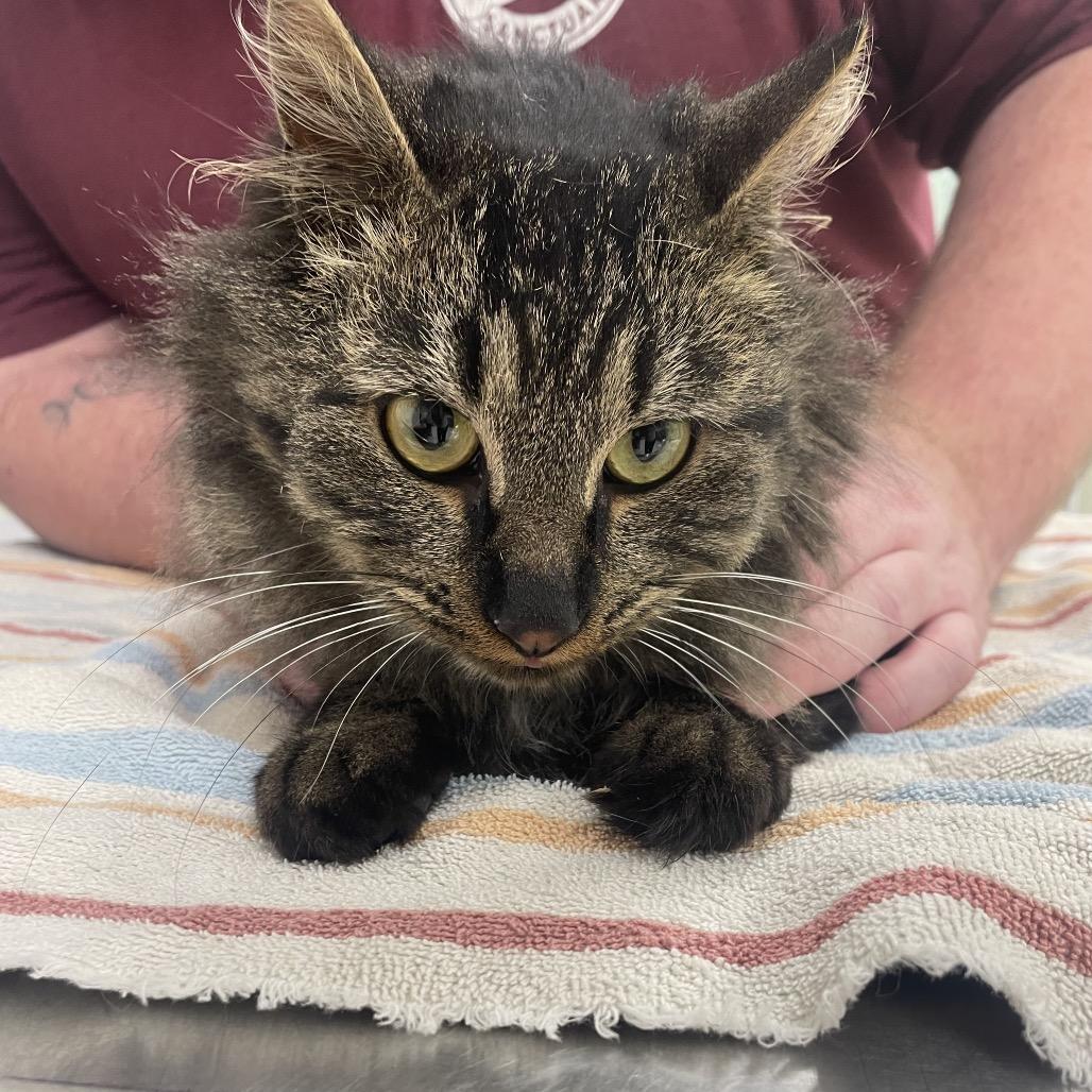 It's A Wonderful Life thumbnail 4