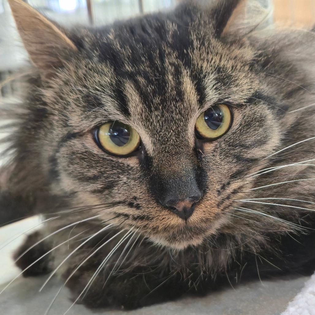 It's A Wonderful Life thumbnail 6