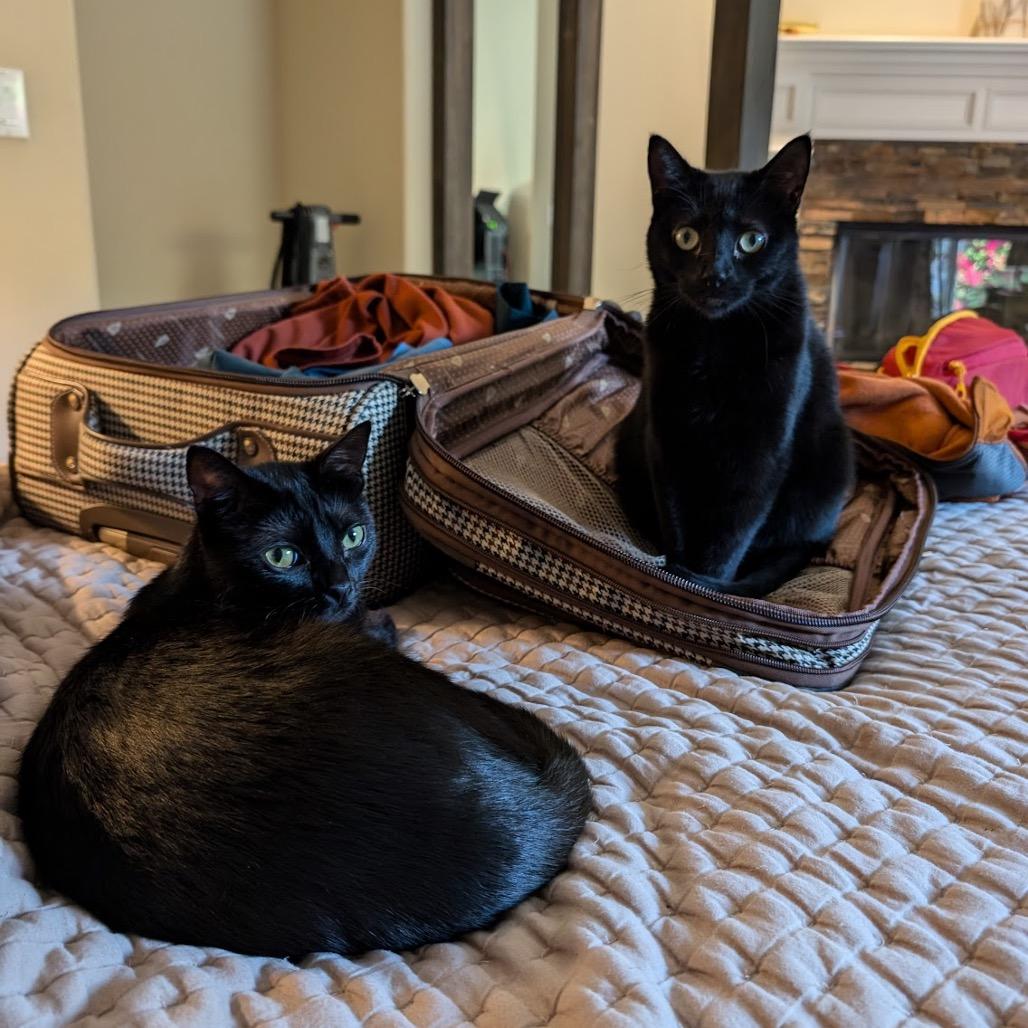 Galadriel — thumbnail 2