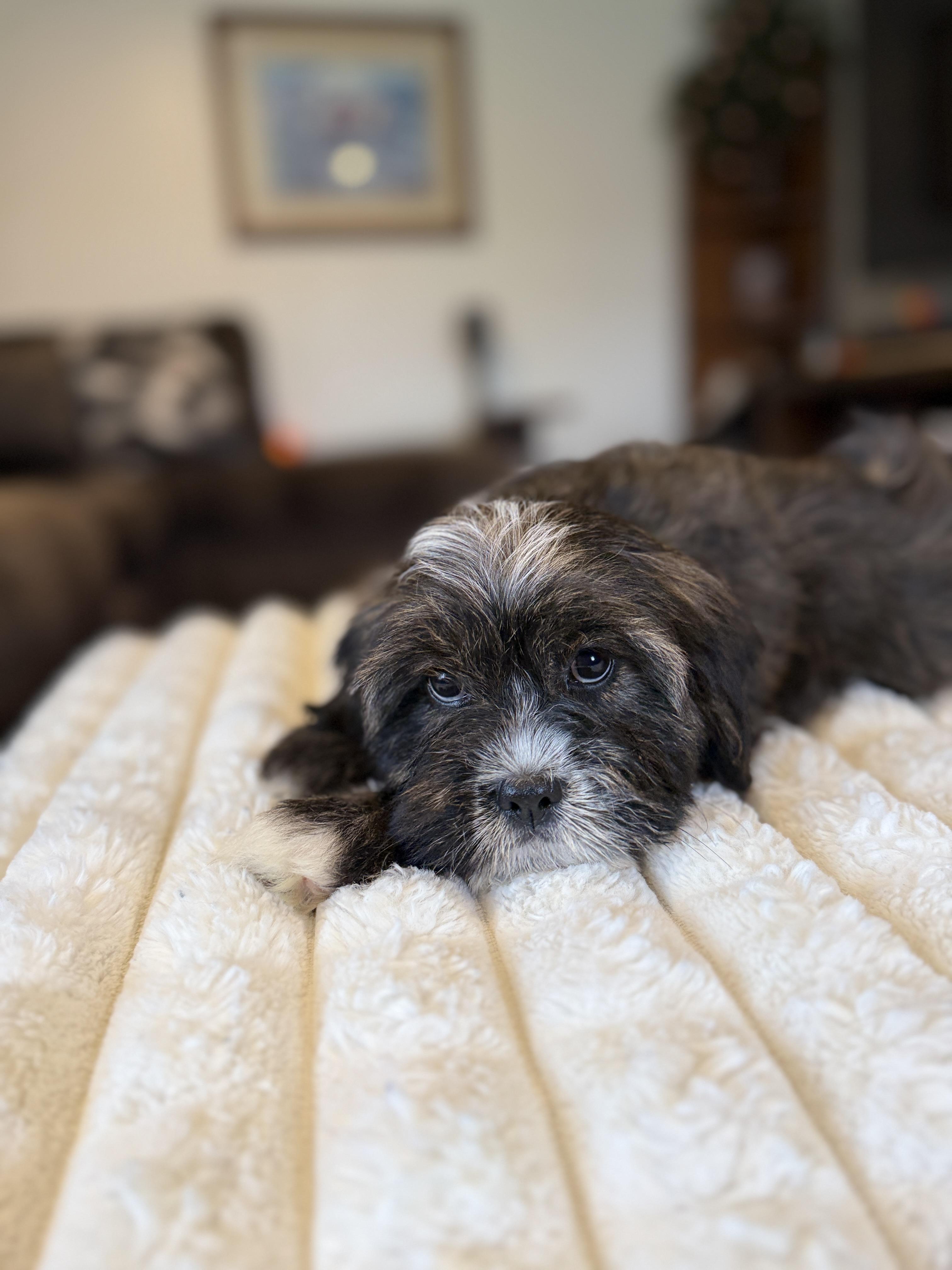 Madeline thumbnail 2