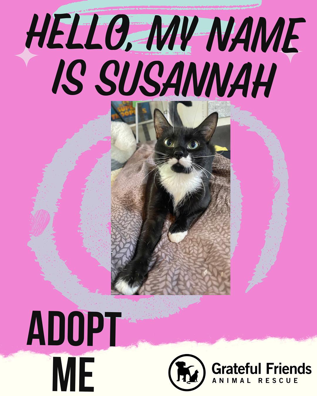 SUSANNAH
