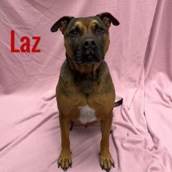 Laz, Senior Male unknown