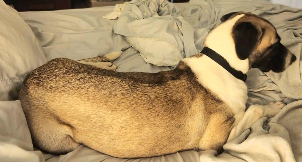 Hecate "a Gentle Beauty." thumbnail 3