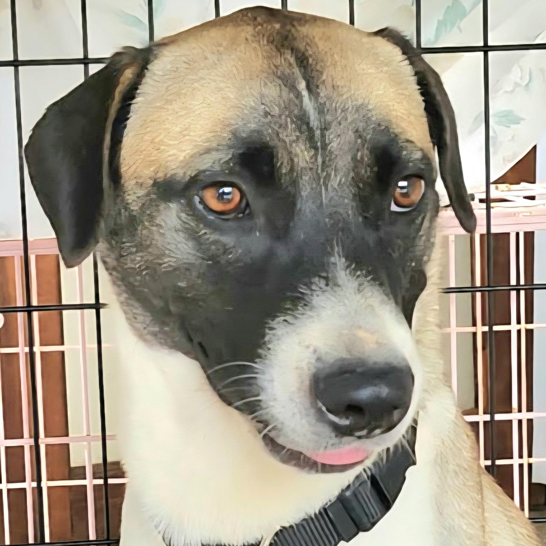 Hecate "a Gentle Beauty."