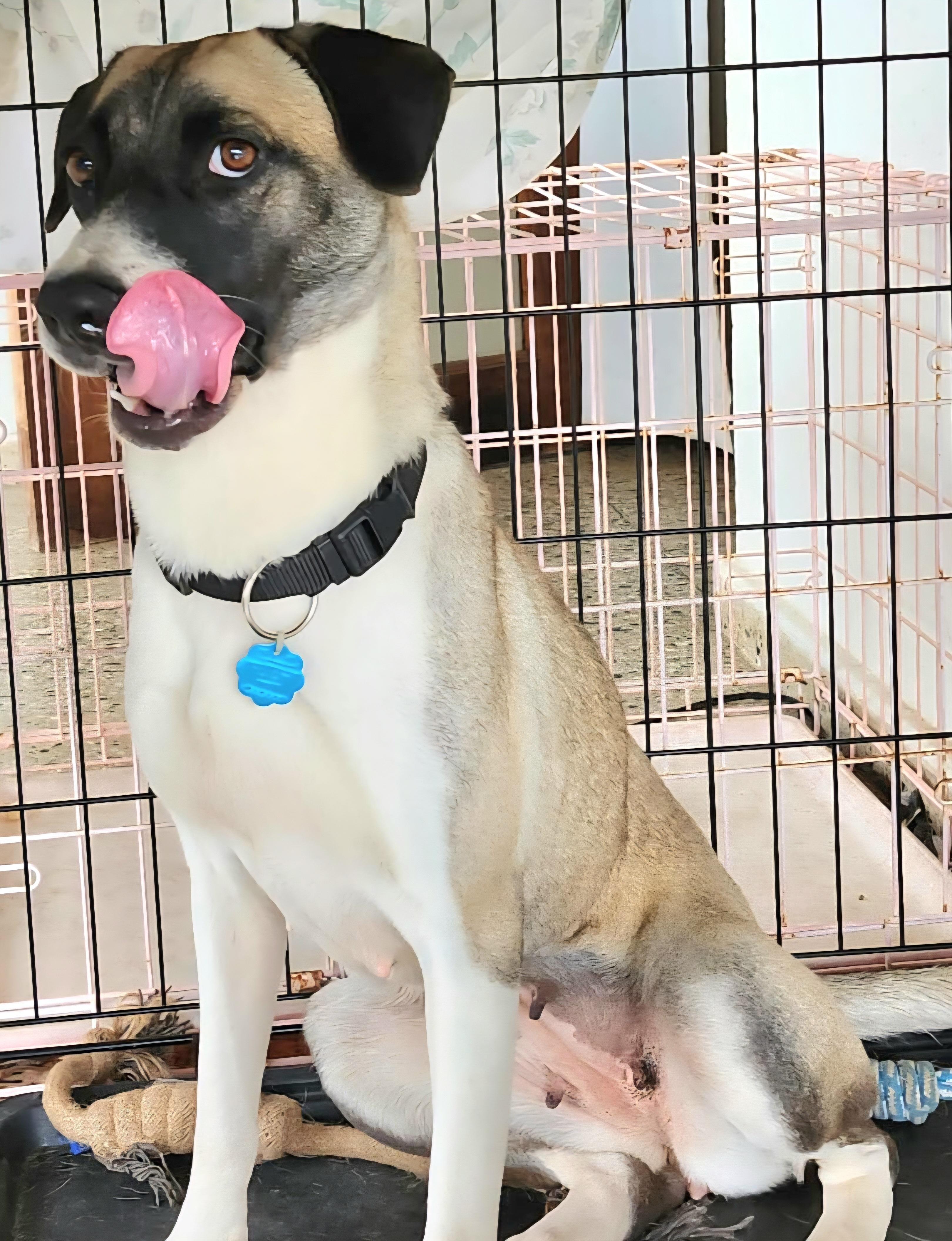 Hecate "a Gentle Beauty." thumbnail 4