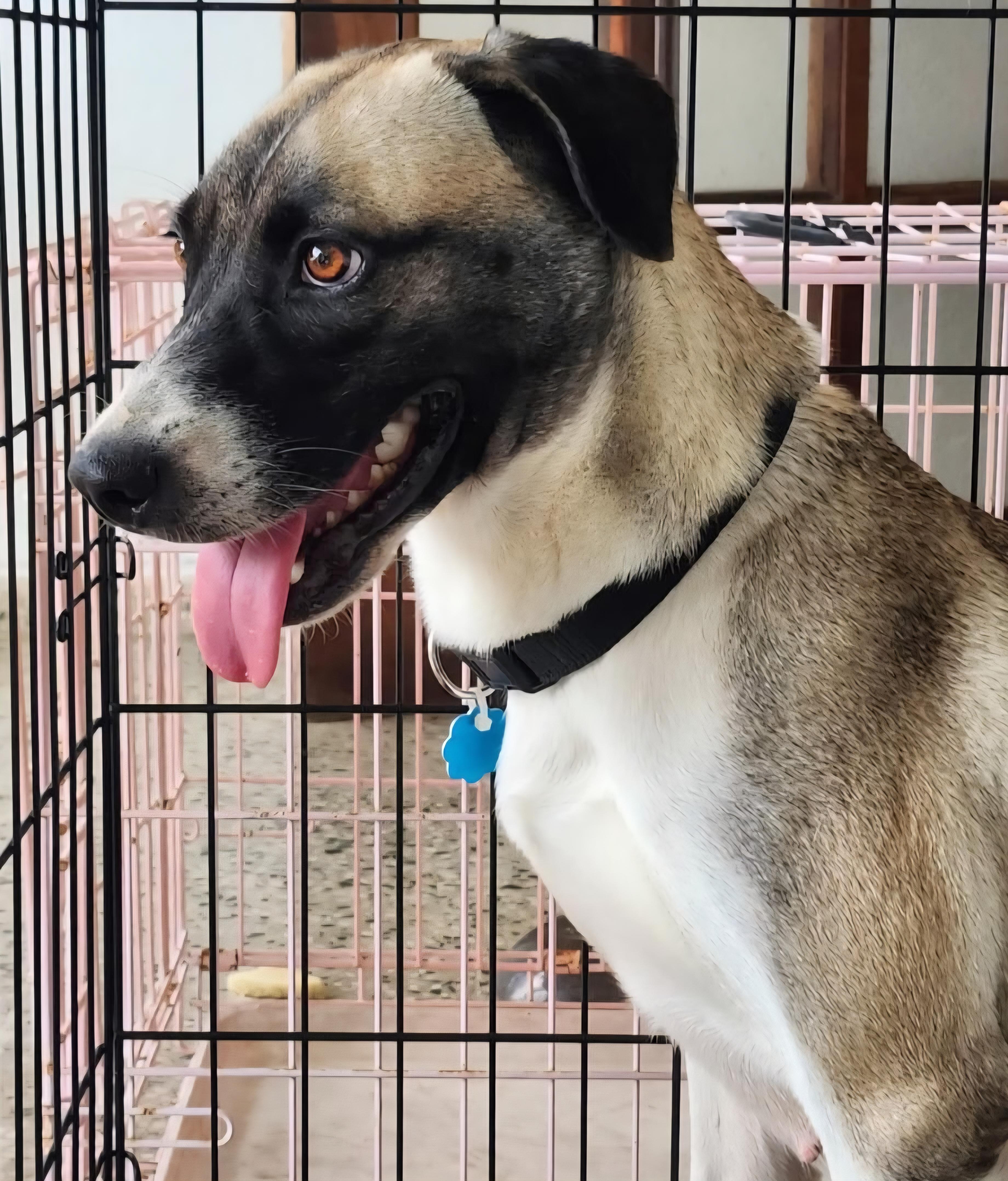 Hecate "a Gentle Beauty." thumbnail 6