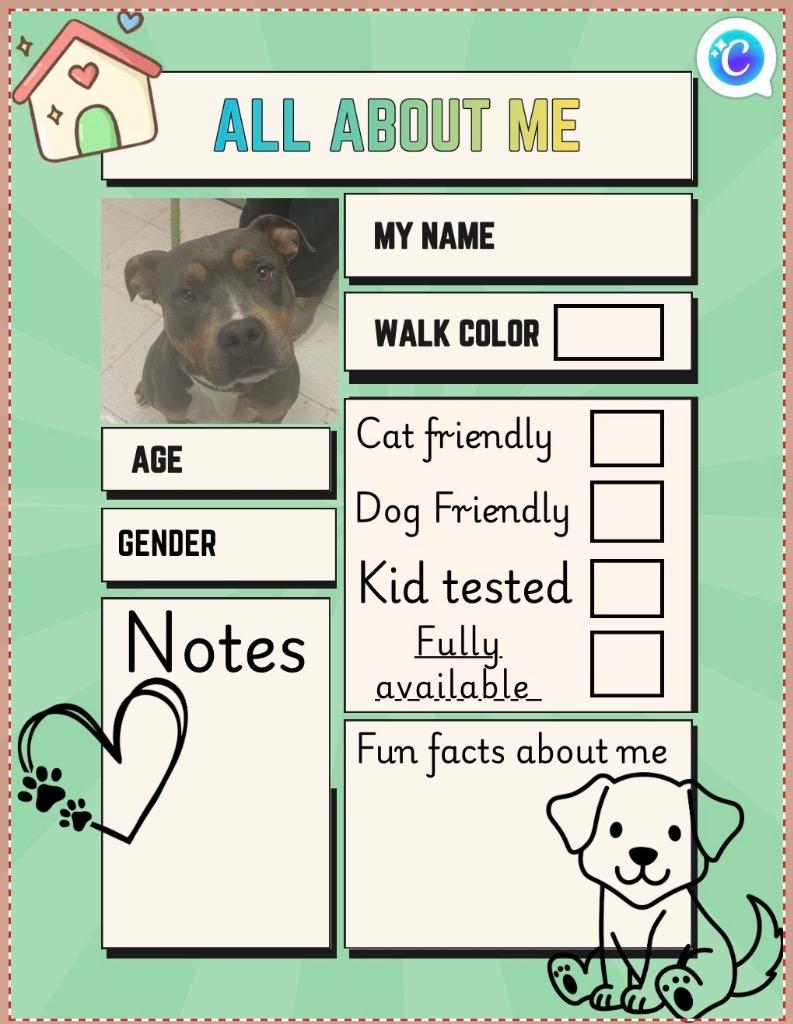 Enlarge Nika, a Adoptable Pit Bull Terrier in New Manchester, WV image 4/6