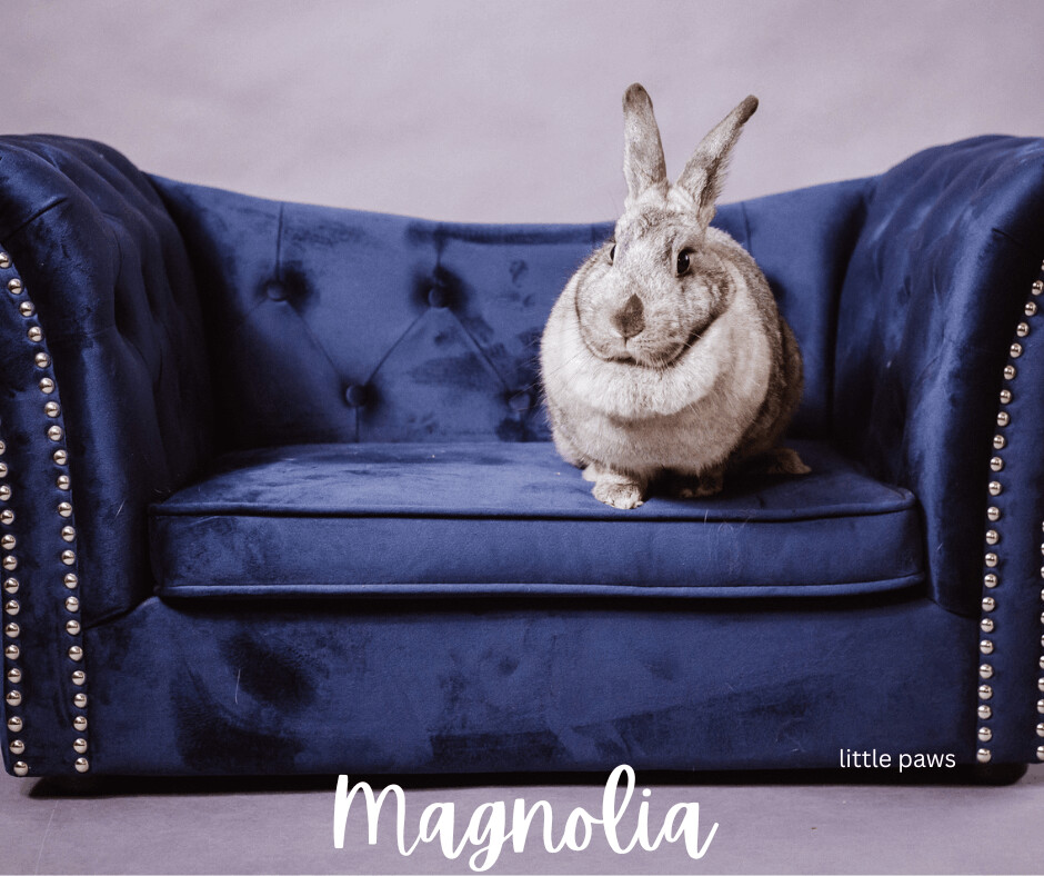 Magnolia, Young Female unknown
