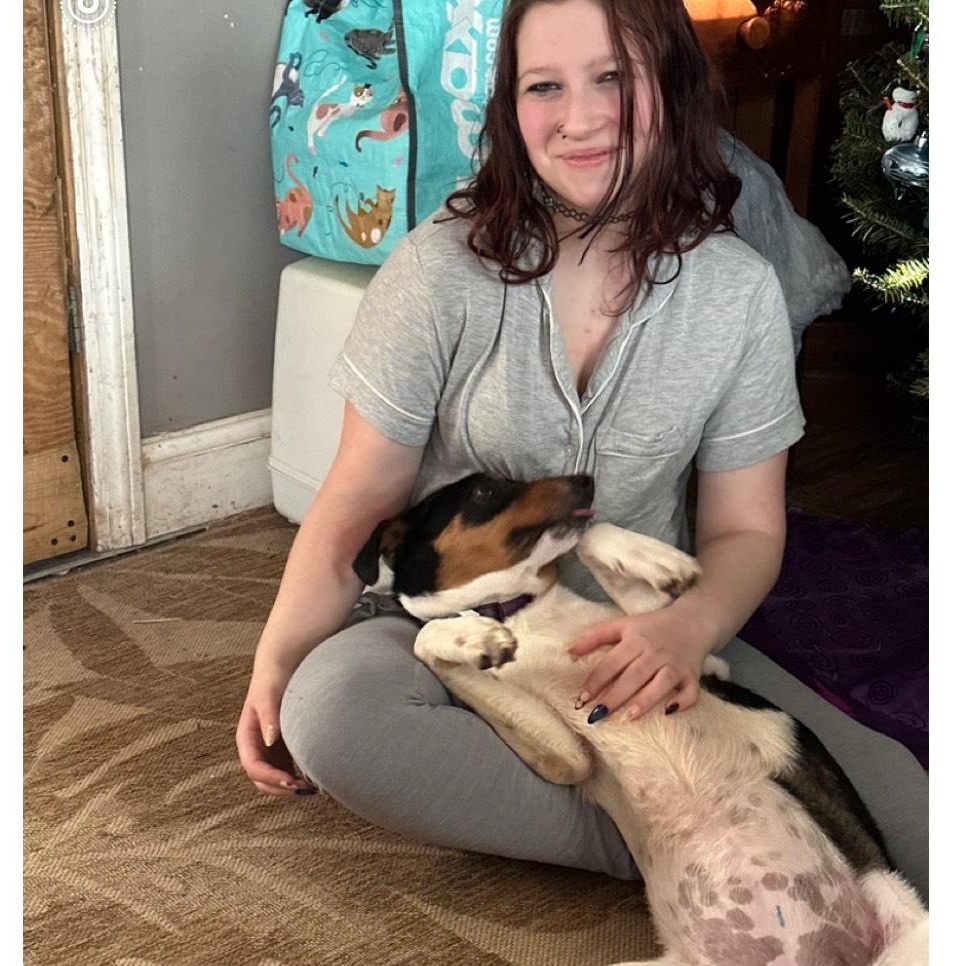 Enlarge Poppy, an adopted mixed breed in Seabrook, NH image 4/5