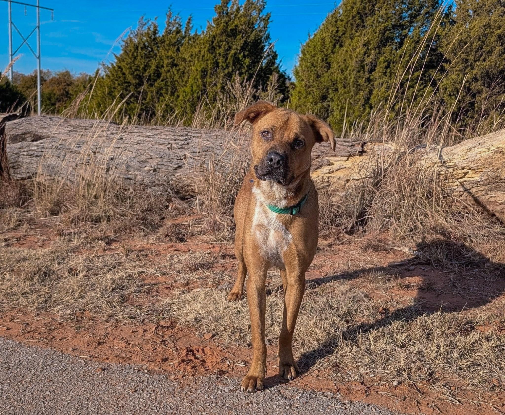 DIESEL 457944 PleaseReadMyStory.I'mDoingOKJustNeedaFamily