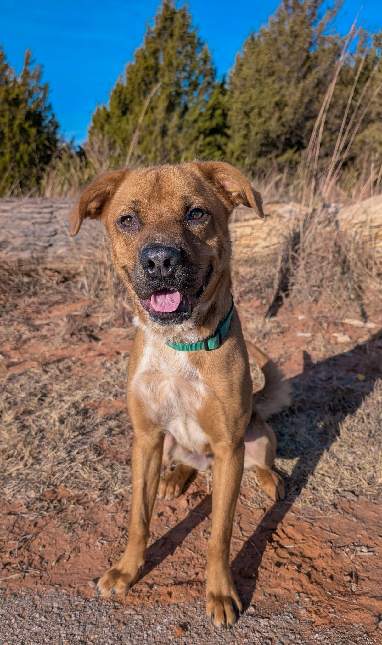 DIESEL 457944 PleaseReadMyStory.I'mDoingOKJustNeedaFamily