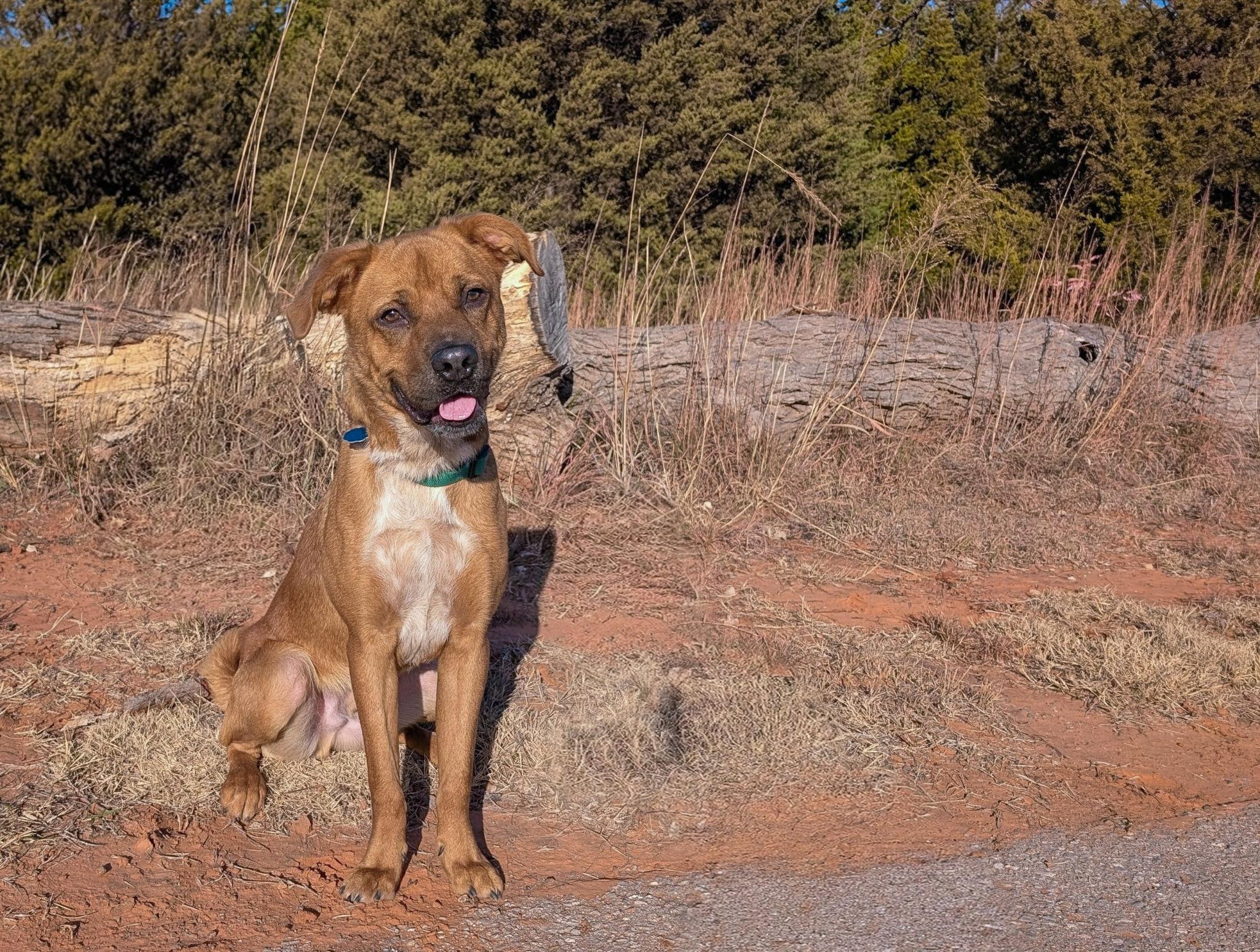 DIESEL 457944 PleaseReadMyStory.I'mDoingOKJustNeedaFamily