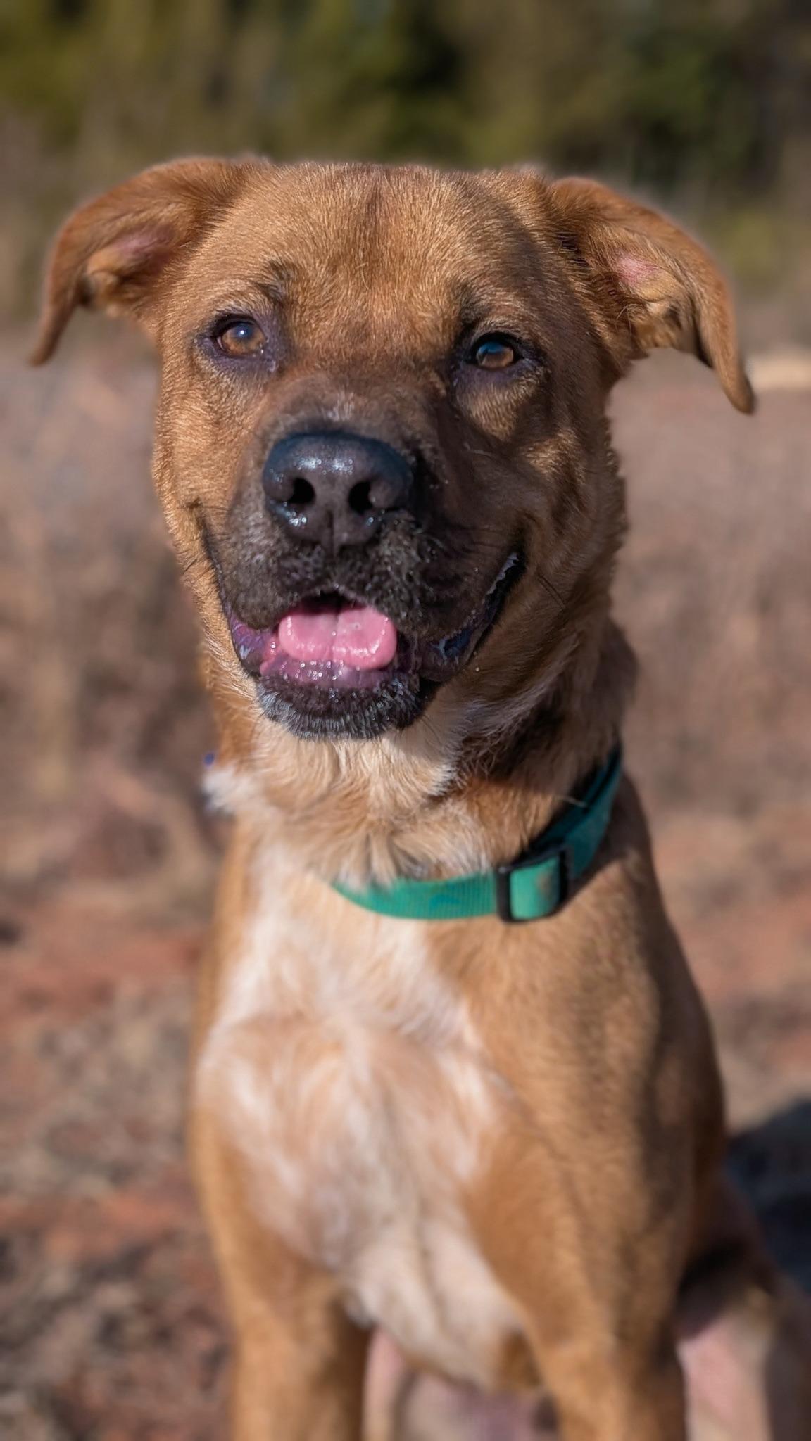 DIESEL 457944 PleaseReadMyStory.I'mDoingOKJustNeedaFamily