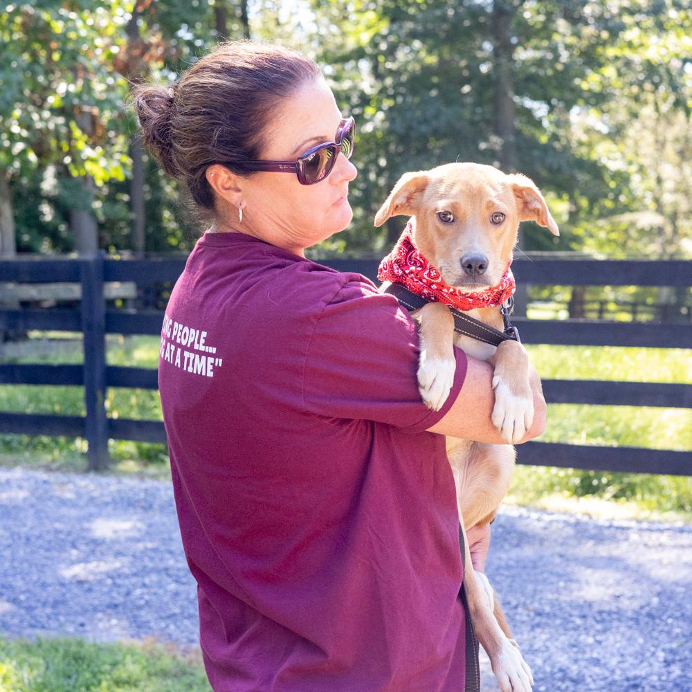 Enlarge Peanut (Male) Avail 9/26, a Adopted mixed breed in West Grove, PA image 5/6