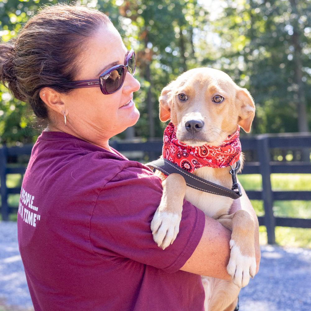 Enlarge Peanut (Male) Avail 9/26, a Adopted mixed breed in West Grove, PA image 3/6