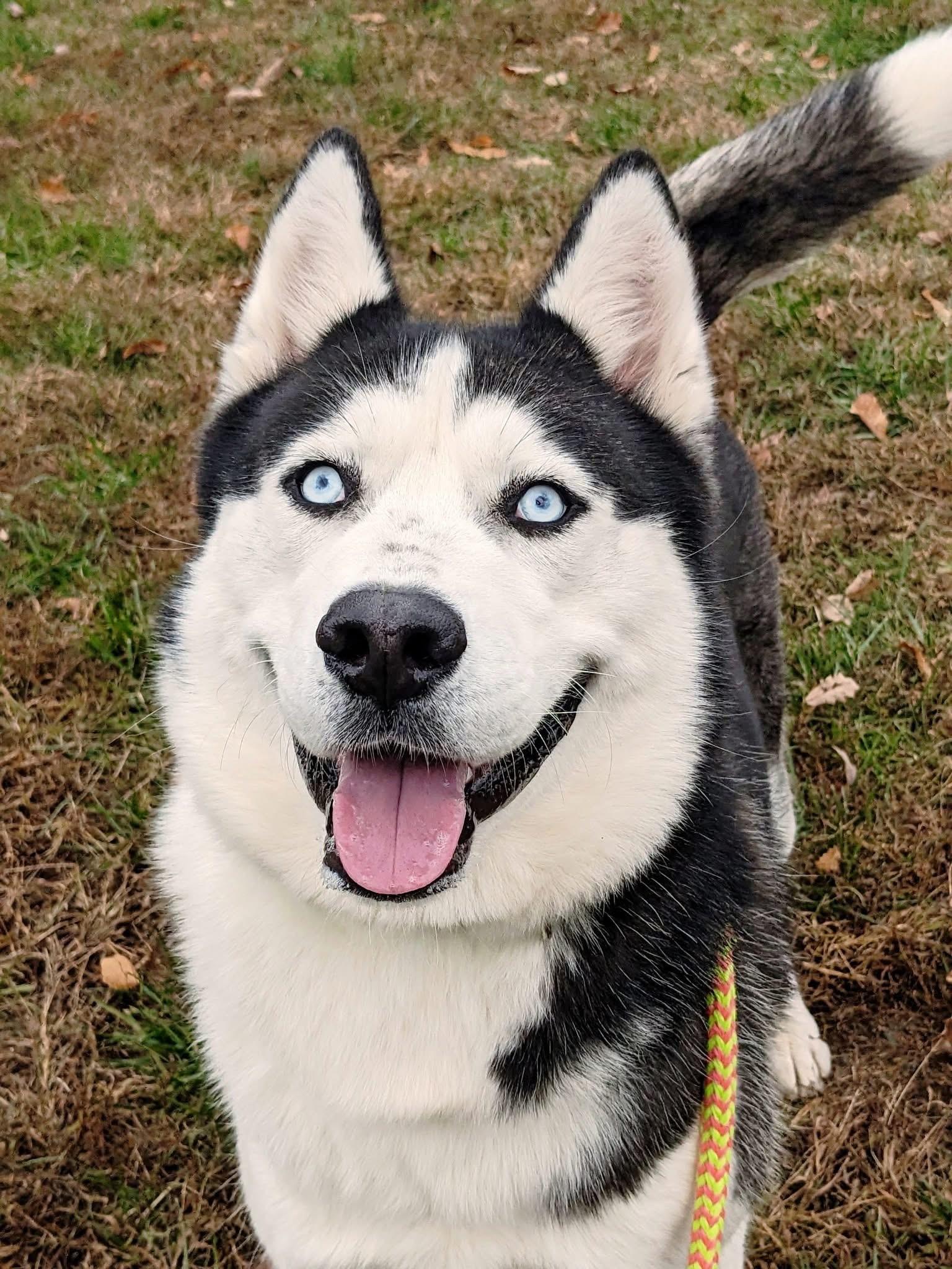 Steele (ID 48754/3442)