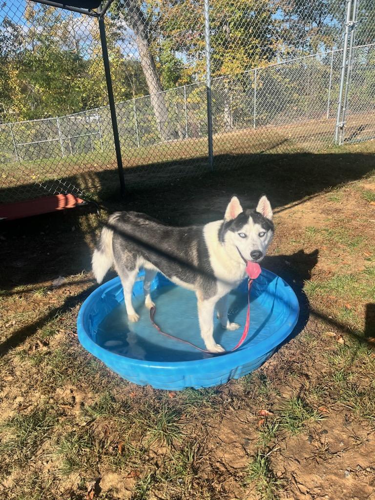 Steele (ID 48754/3442)