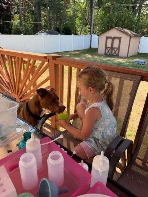Archie (was Snuffle), a Adoptable mixed breed in Coldwater, MI image 6/6