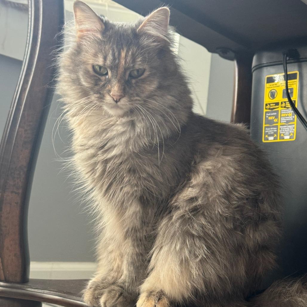 Suzy  Home To thumbnail 4