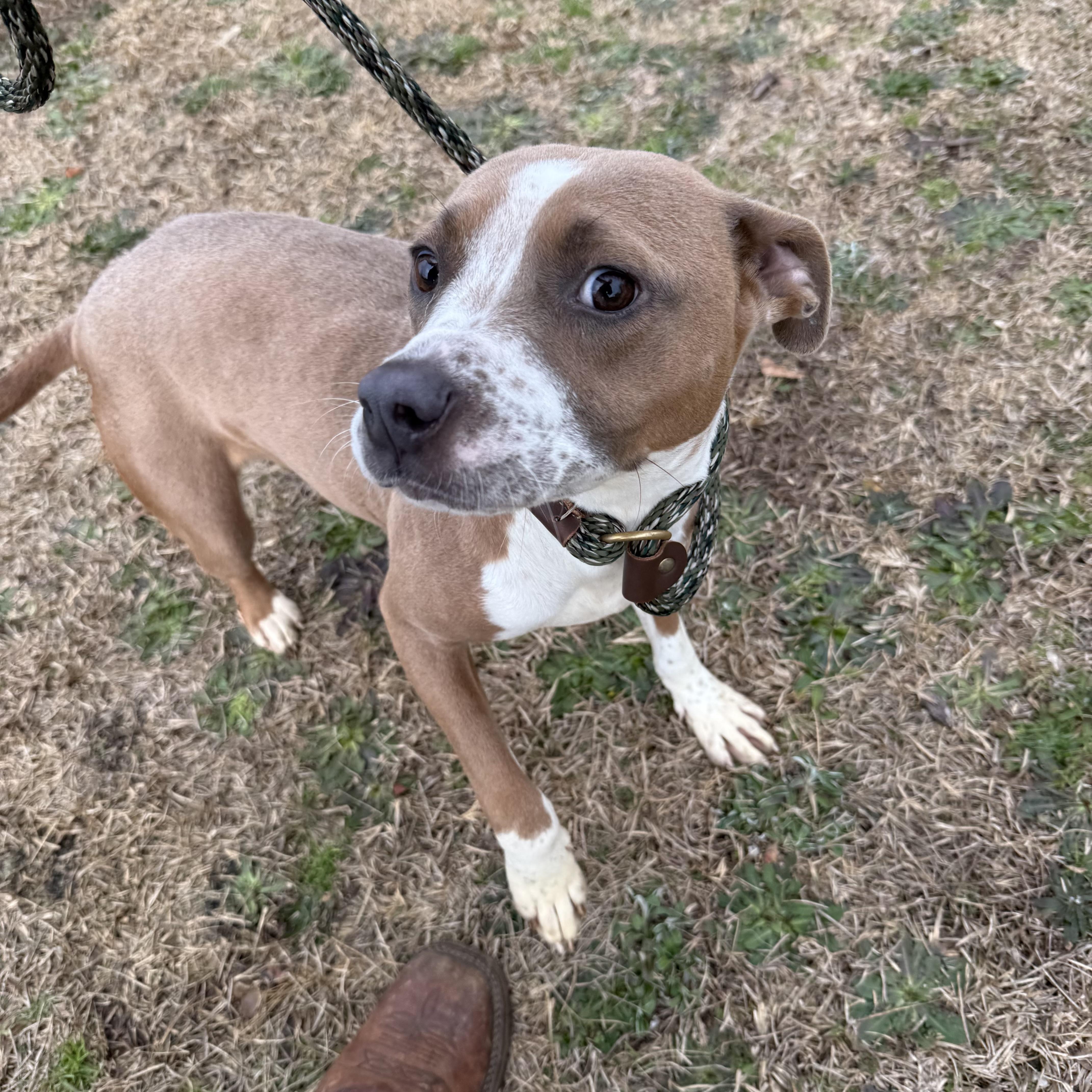 Bridget — thumbnail 2