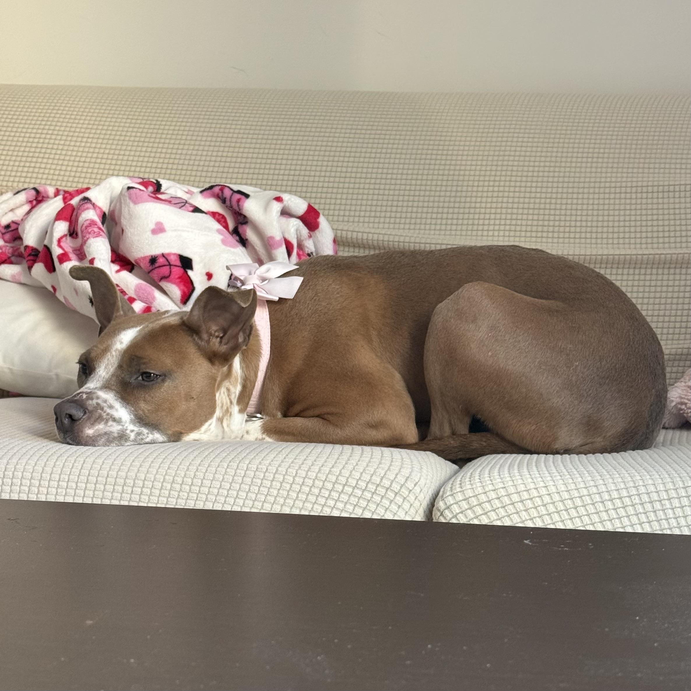 Bridget — thumbnail 3