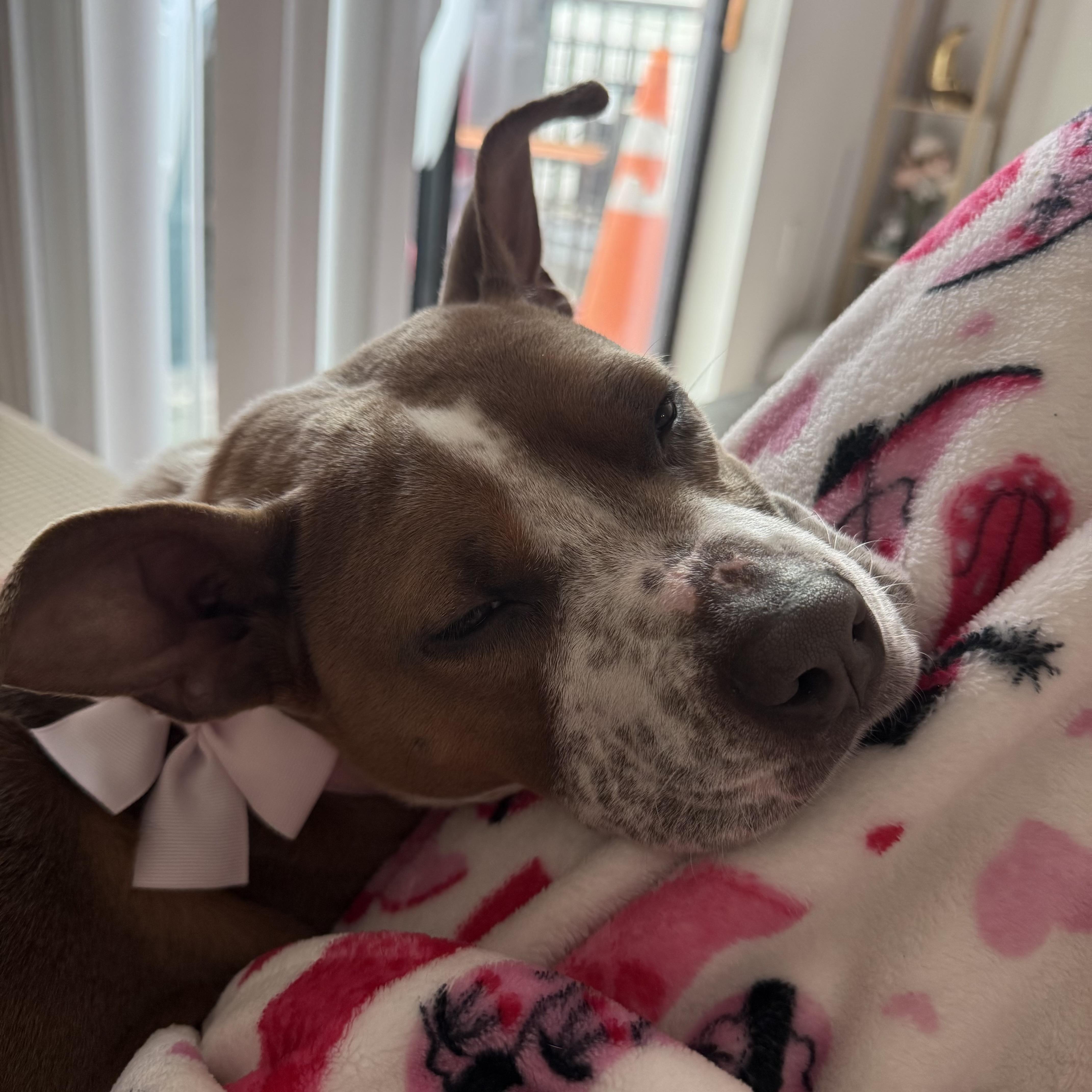 Bridget — thumbnail 5