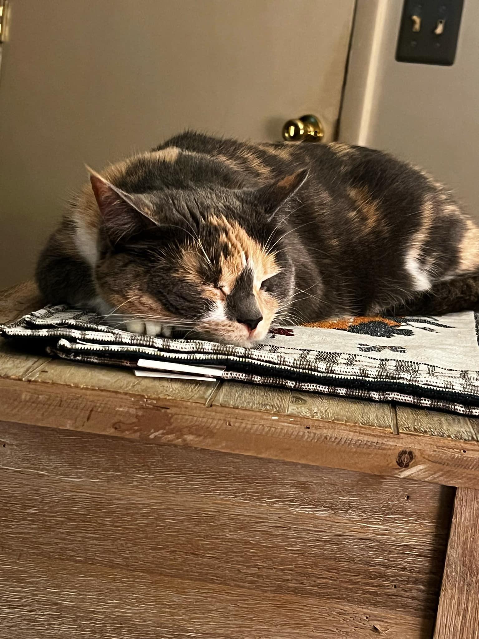 Patches photo 2