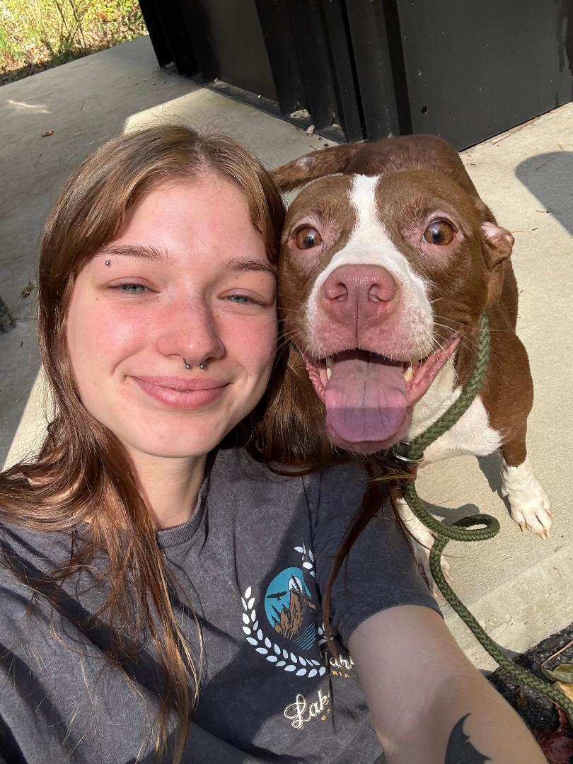 Honey, a Adoptable mixed breed in Saluda, VA image 3/5