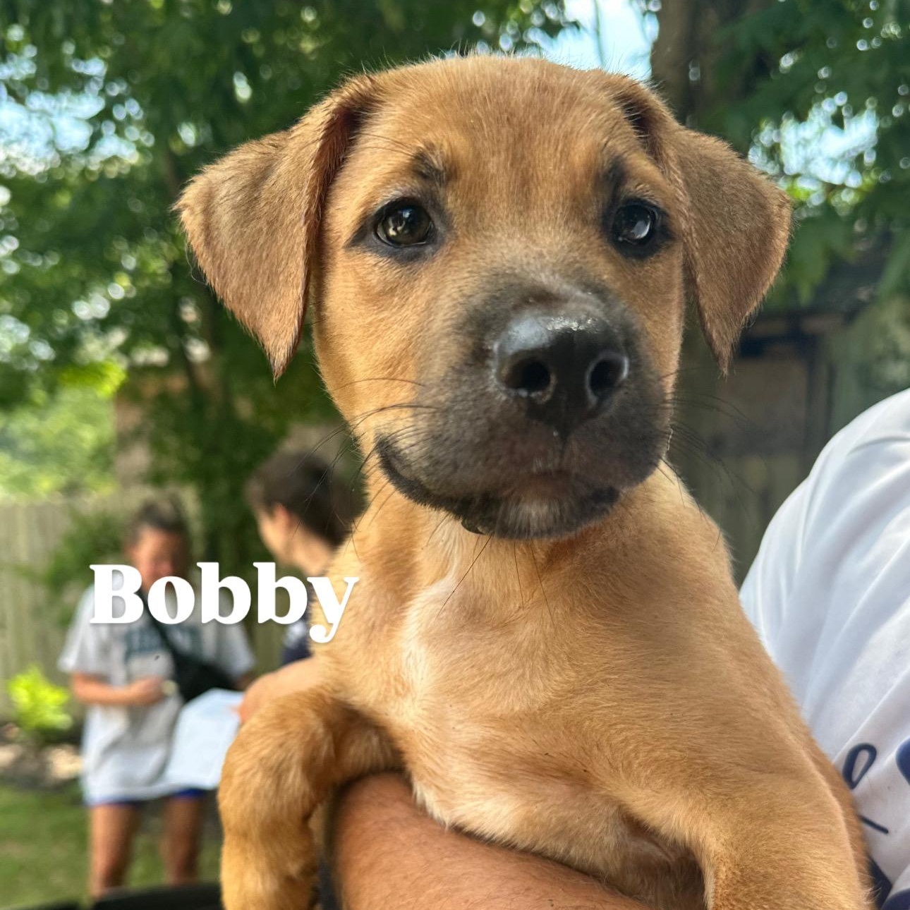 Bobby, Baby Male unknown