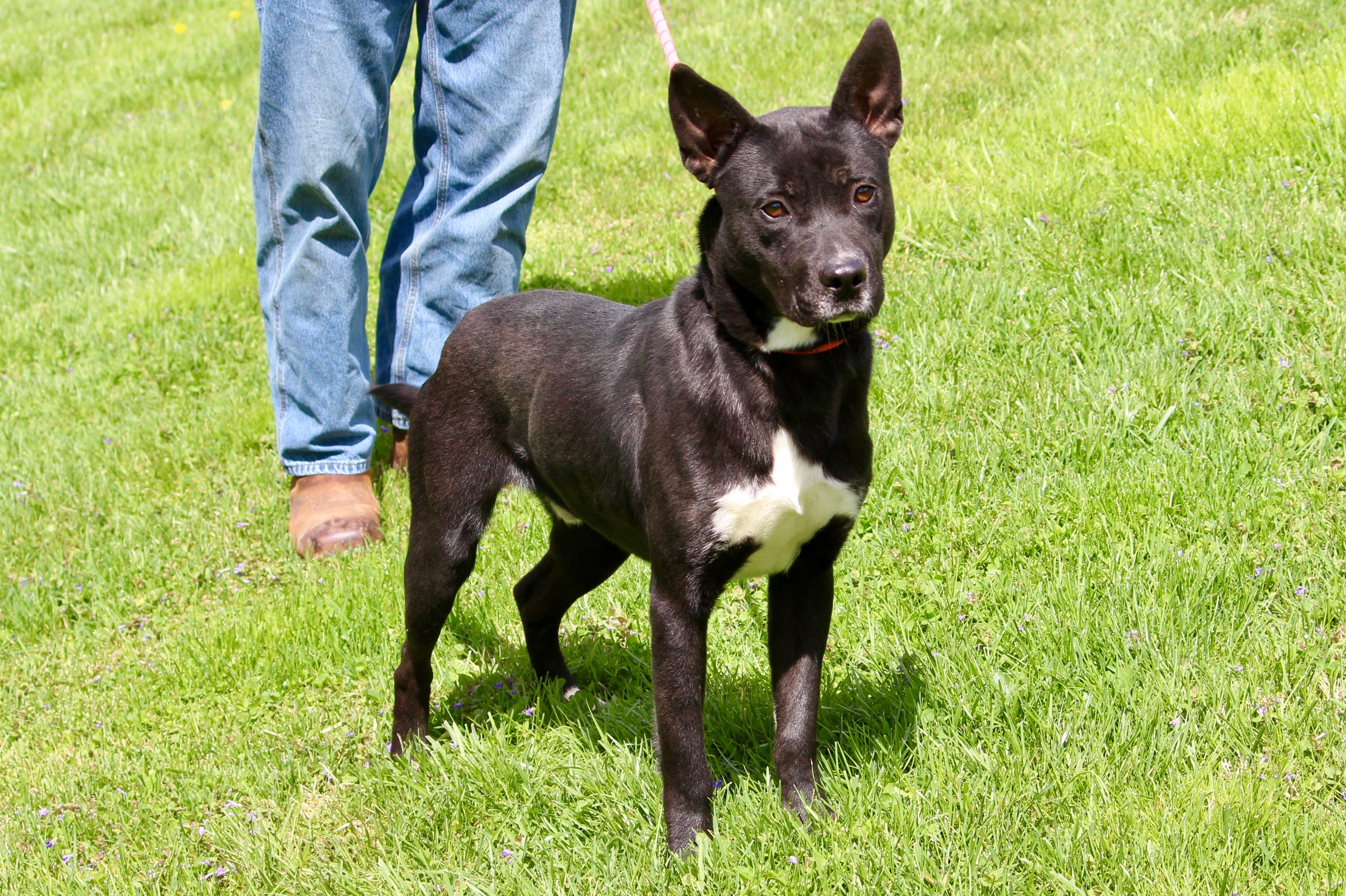 JAMES BOND — thumbnail 2