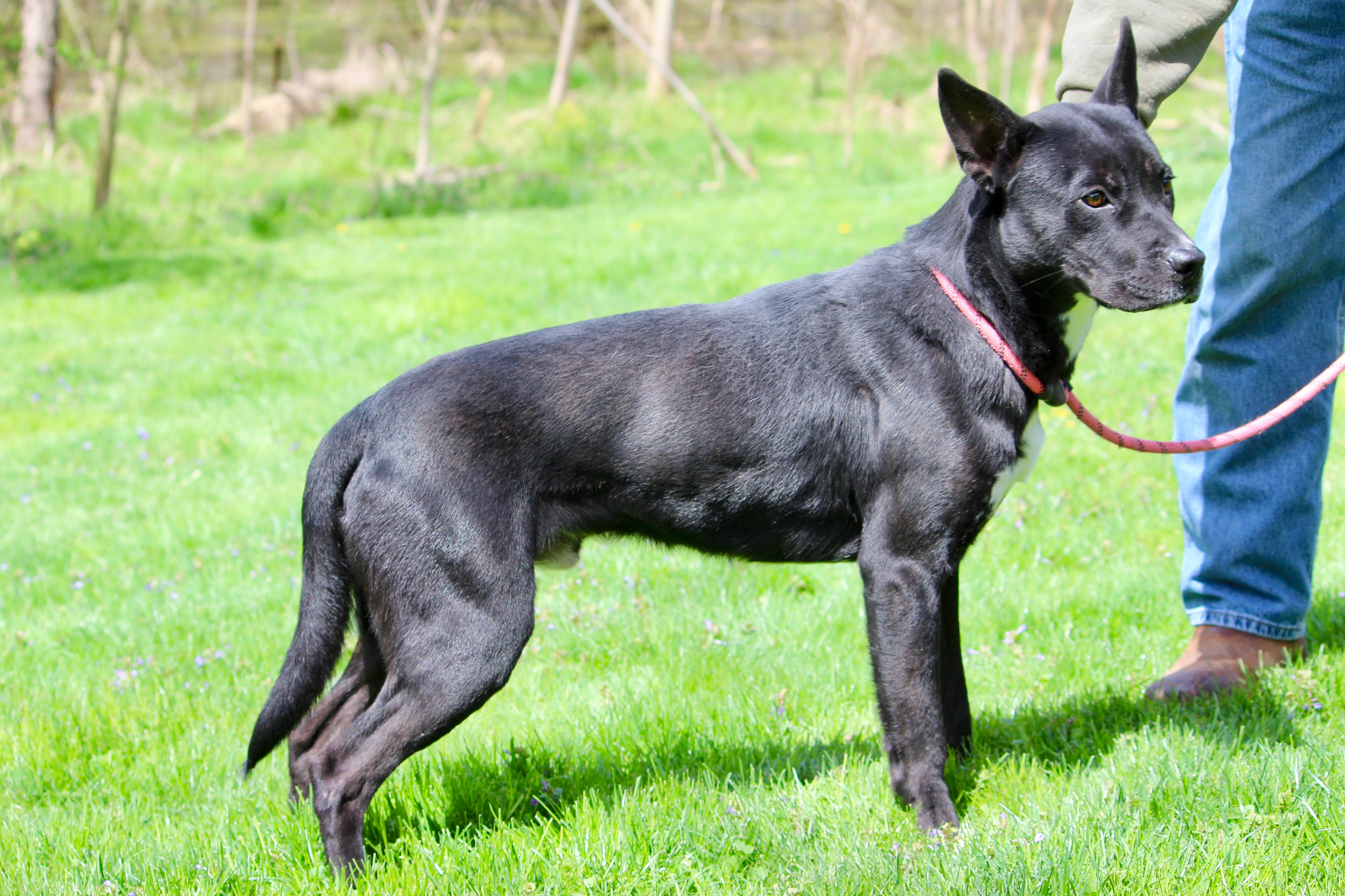 JAMES BOND — thumbnail 3