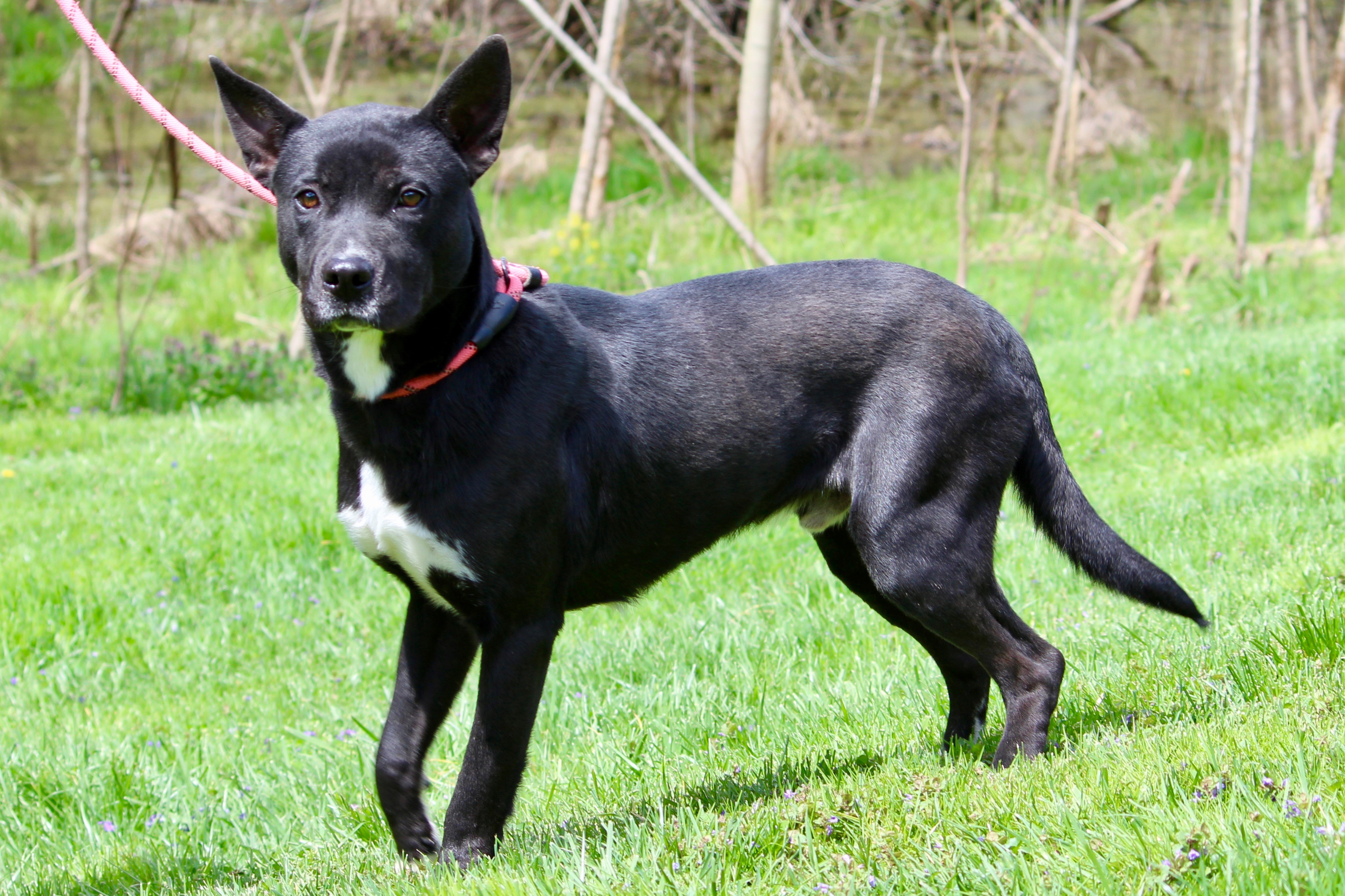 JAMES BOND — thumbnail 5