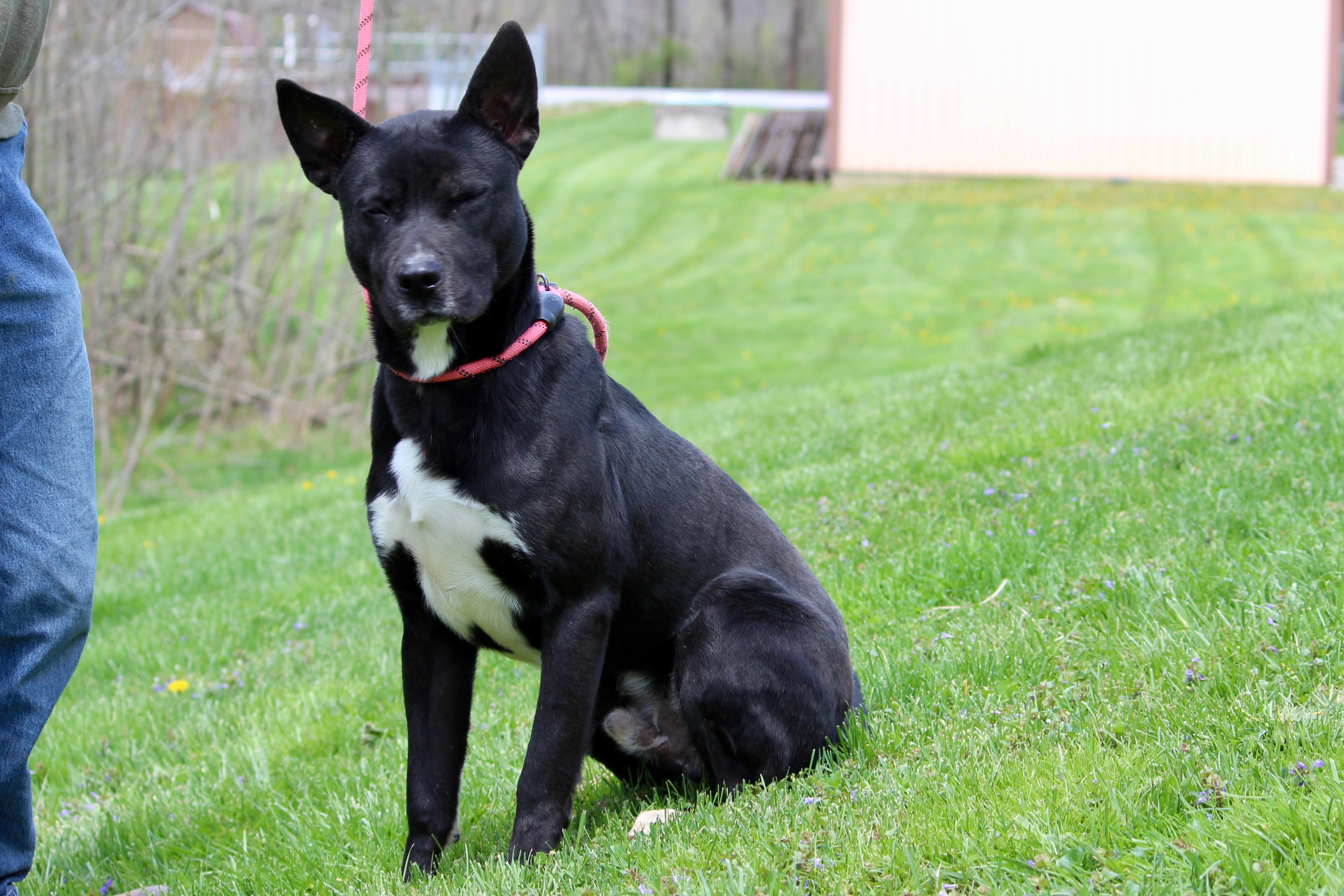 JAMES BOND — thumbnail 6