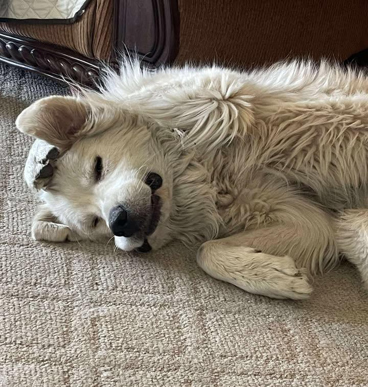 Big Chief (courtesy post)