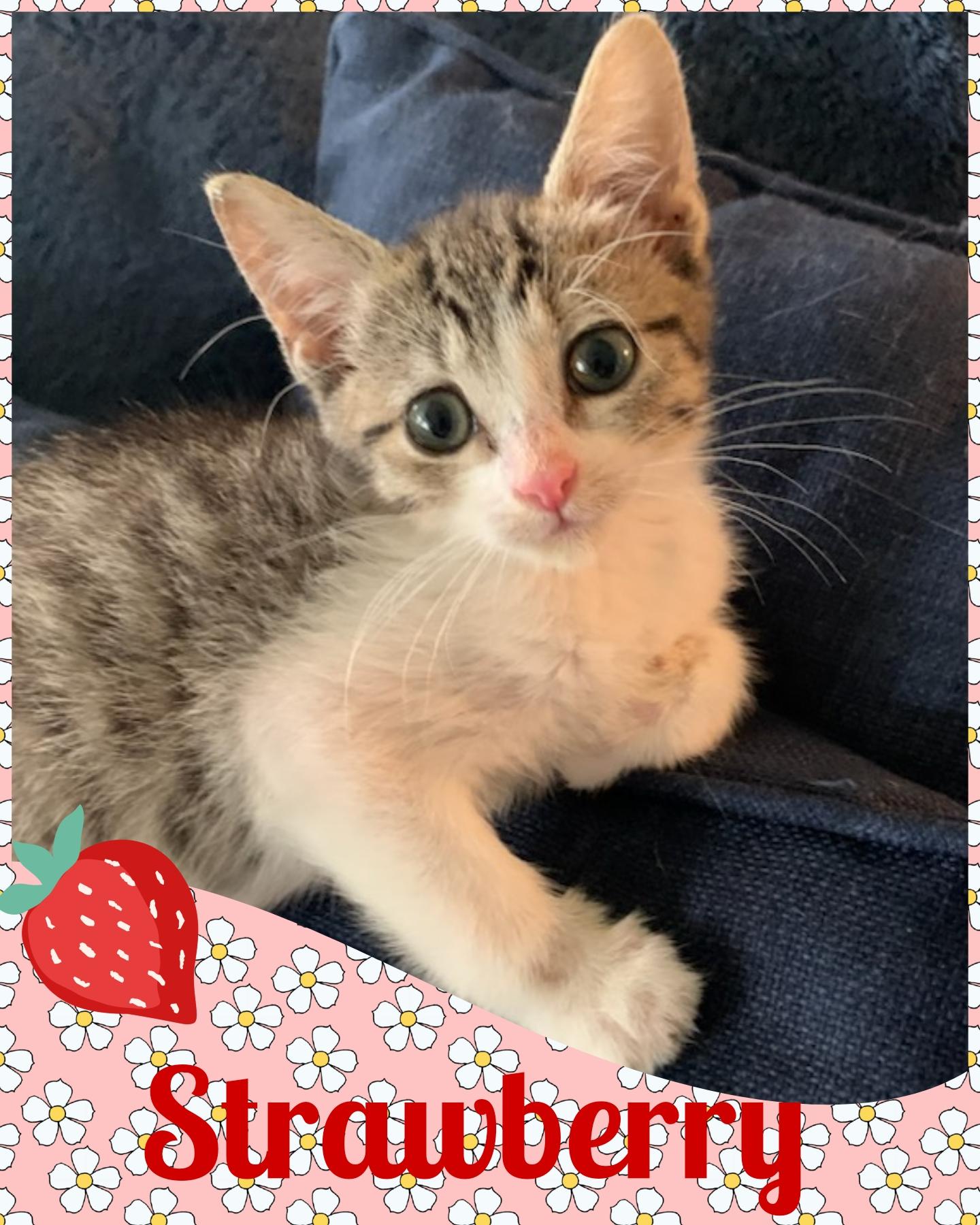 Strawberry