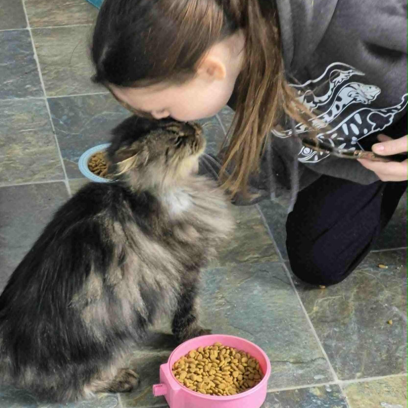 Enlarge Scooter, an adopted mixed breed in Fulton, NY image 2/4