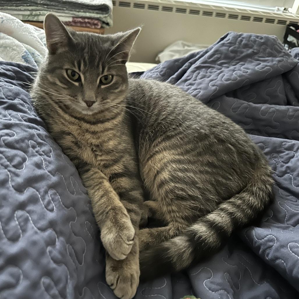 Kevin — thumbnail 2