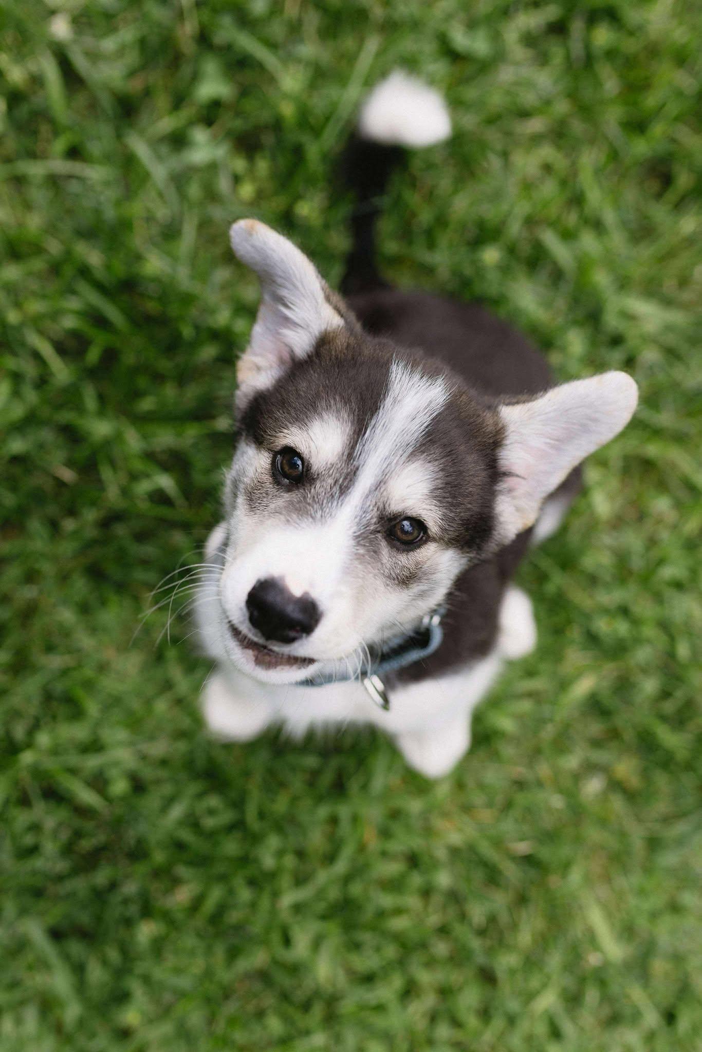 Kaden photo 2