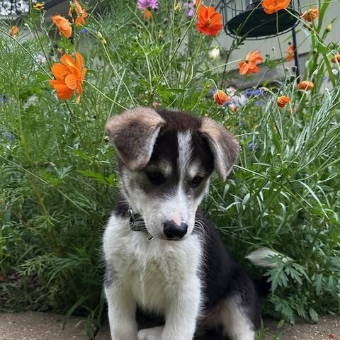 Kaden photo 4