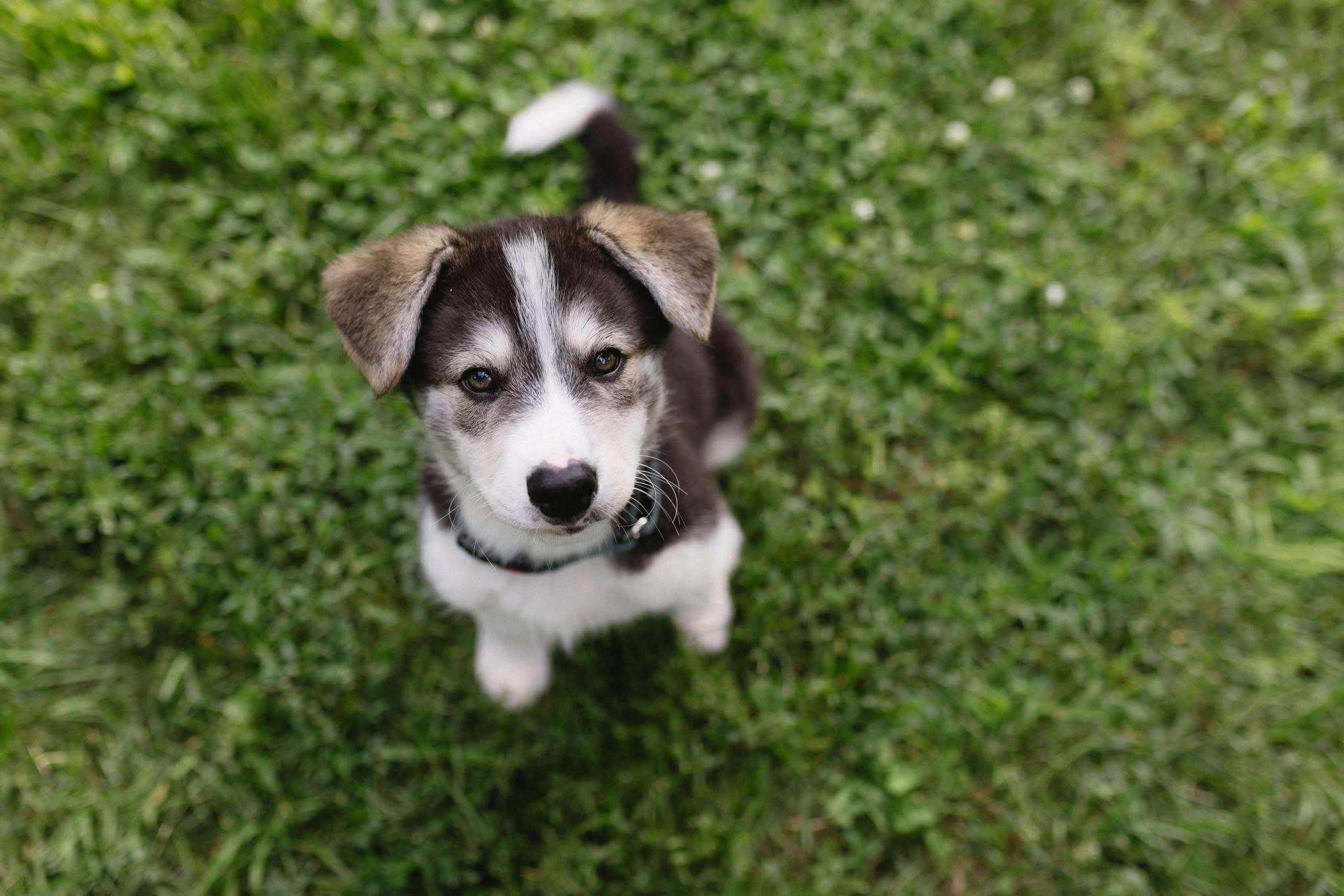Kaden, Baby Male unknown
