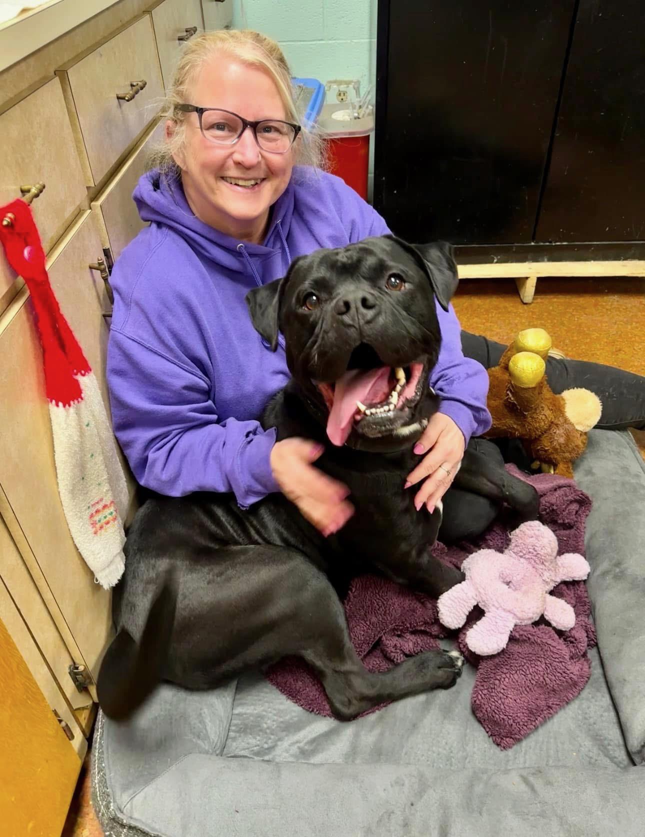 Prince, a Adoptable mixed breed in Lyndhurst, OH image 4/6