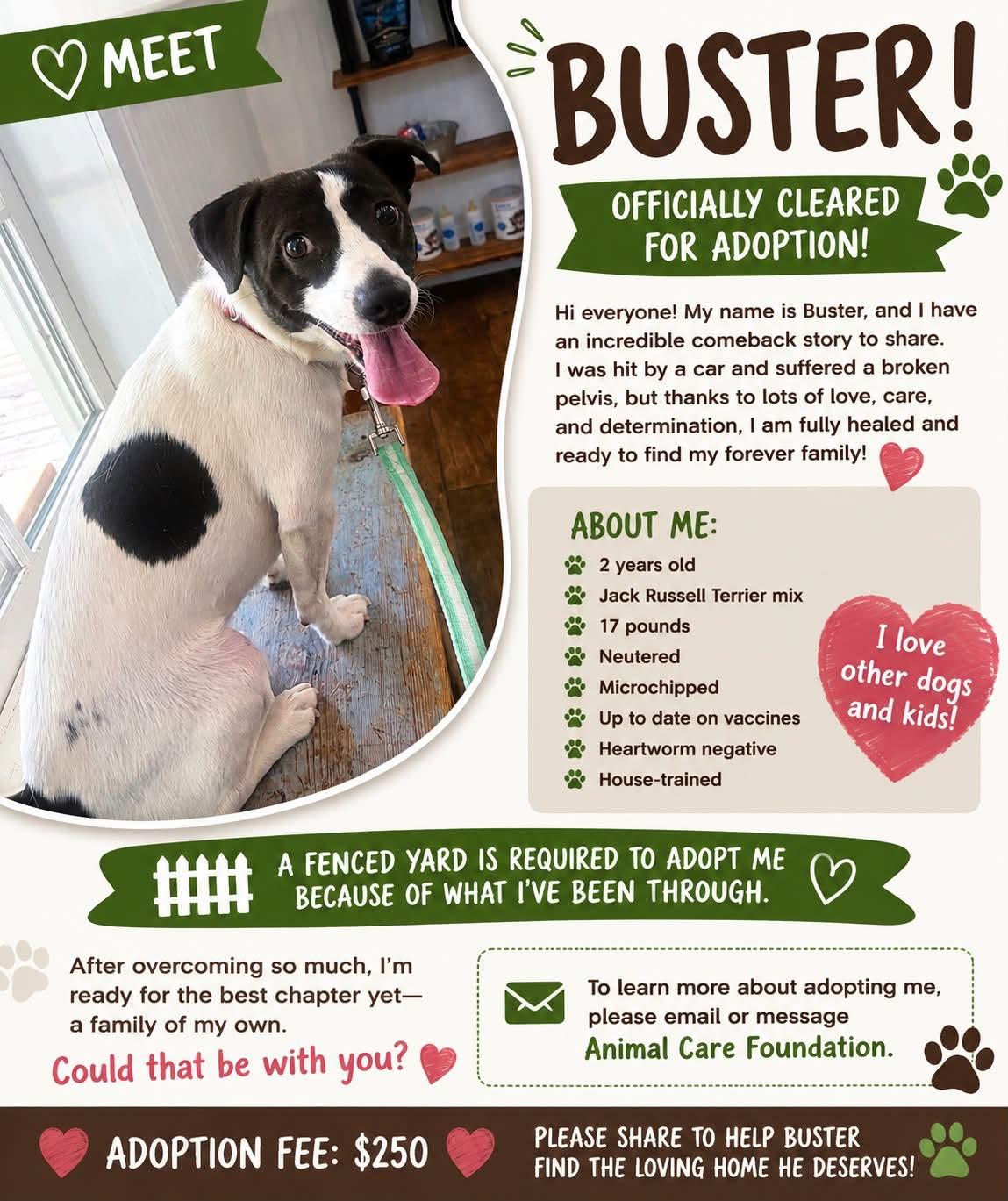 Enlarge Buster, an adopted mixed breed in Lexington, NC image 1/1